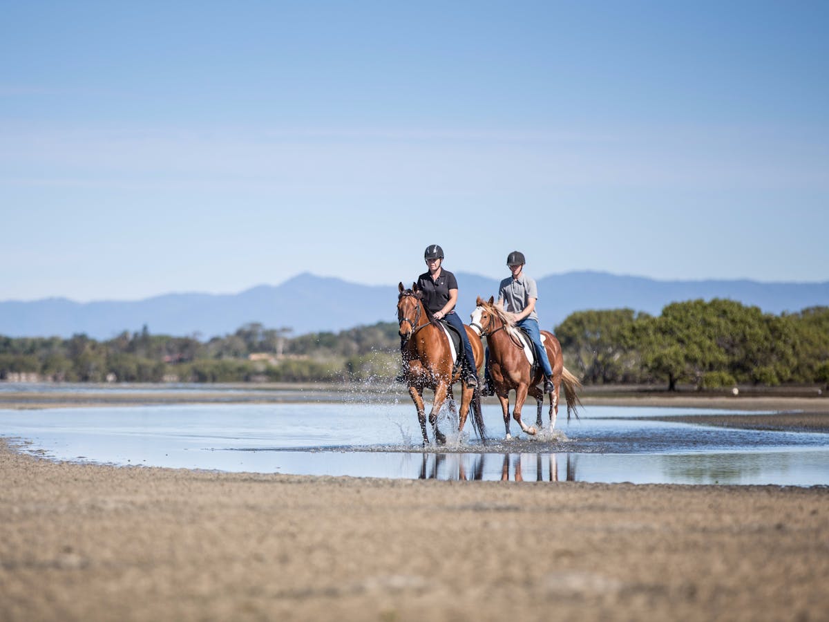 Beachmere Destination Information Queensland