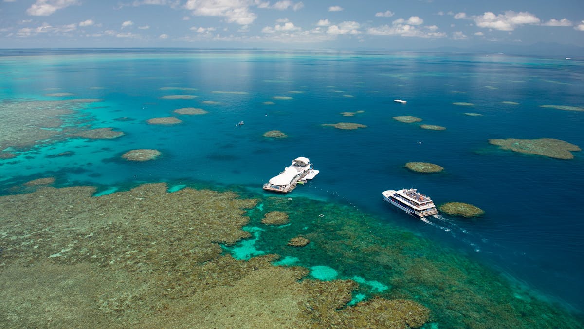 great barrier reef cruise