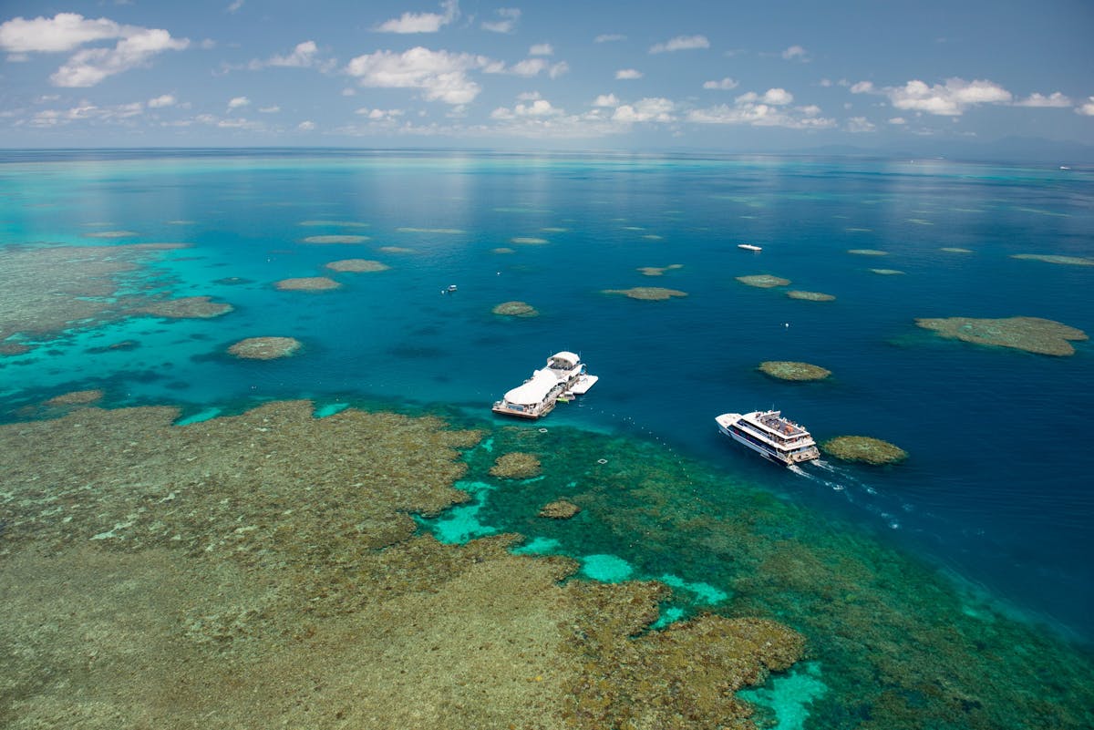 great barrier reef cruise