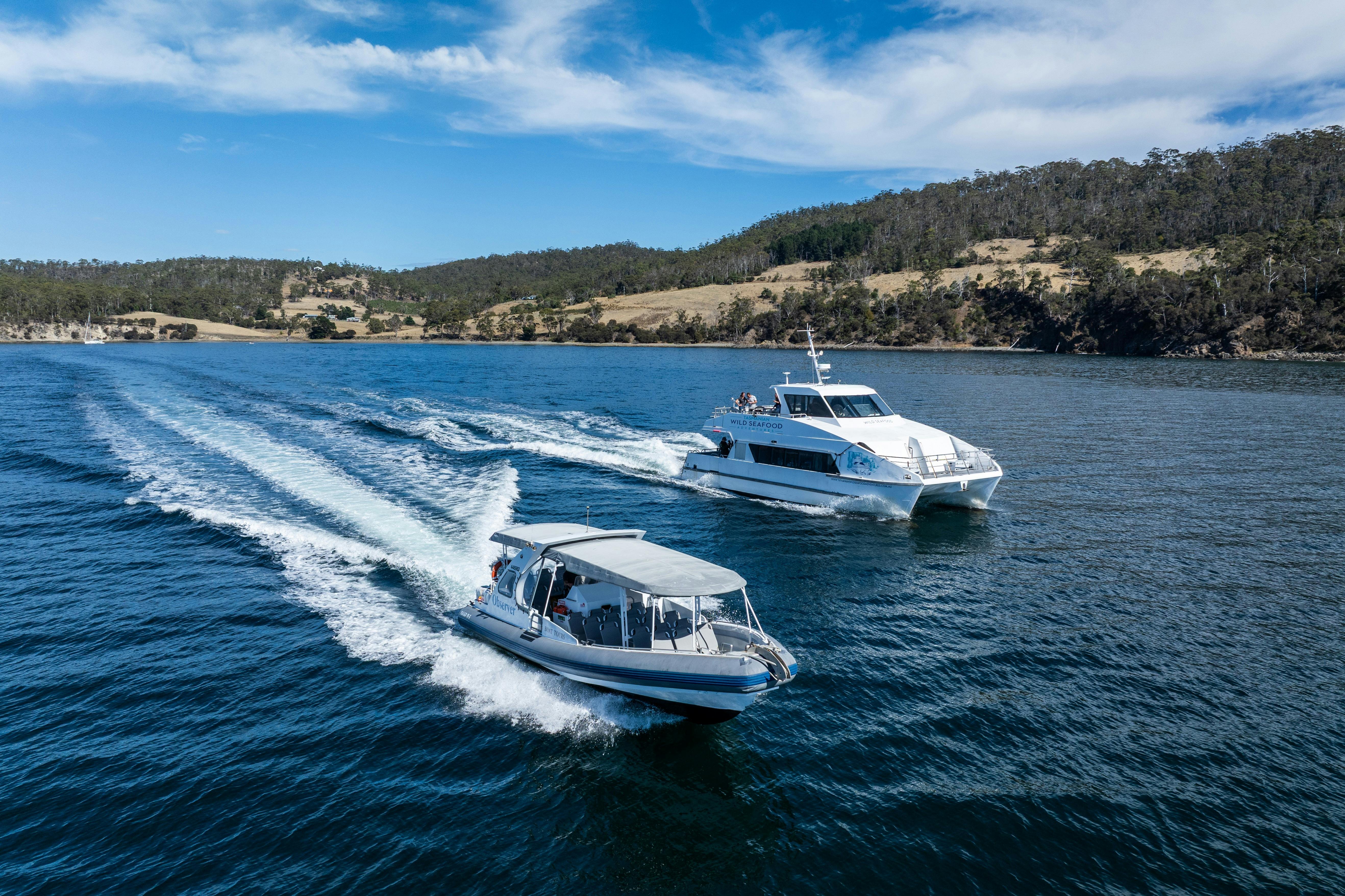 Two white vessels travelling same direction. Larger vessel in background, smaller vessel nearler.