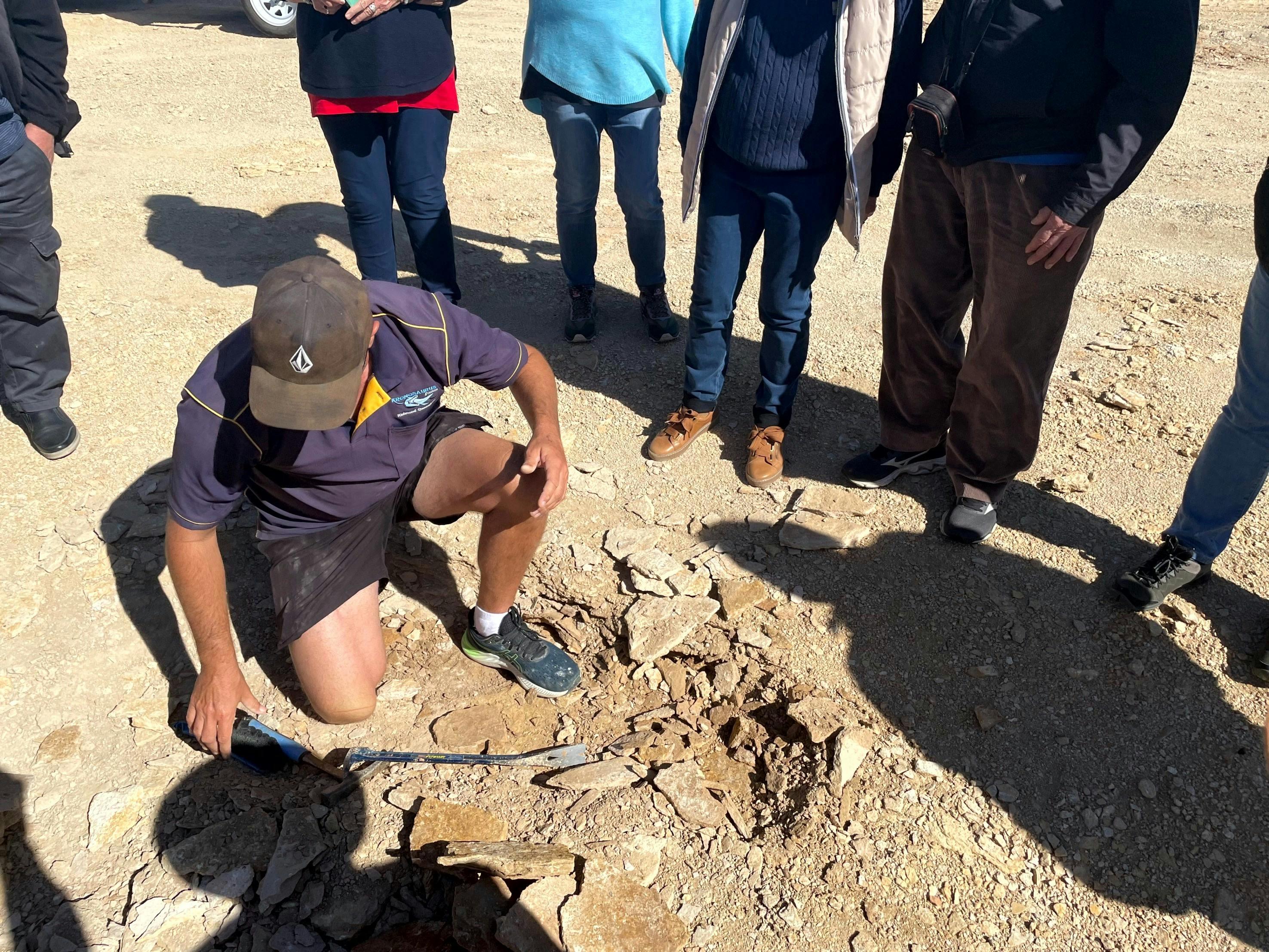 Australia's Dinosaur Trail Tour