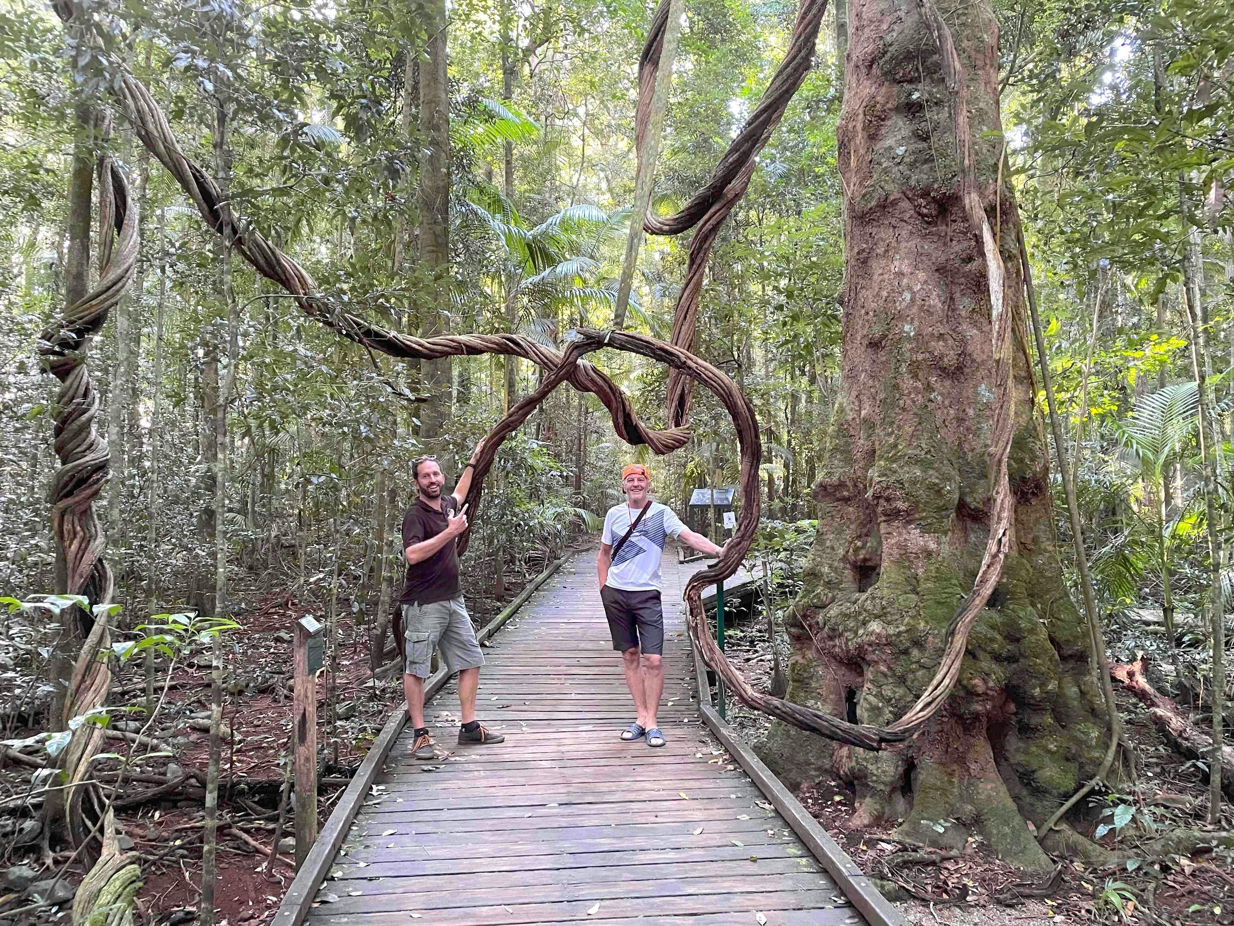 Joel's Journeys - Montville Tour Maleny Tour from Noosa