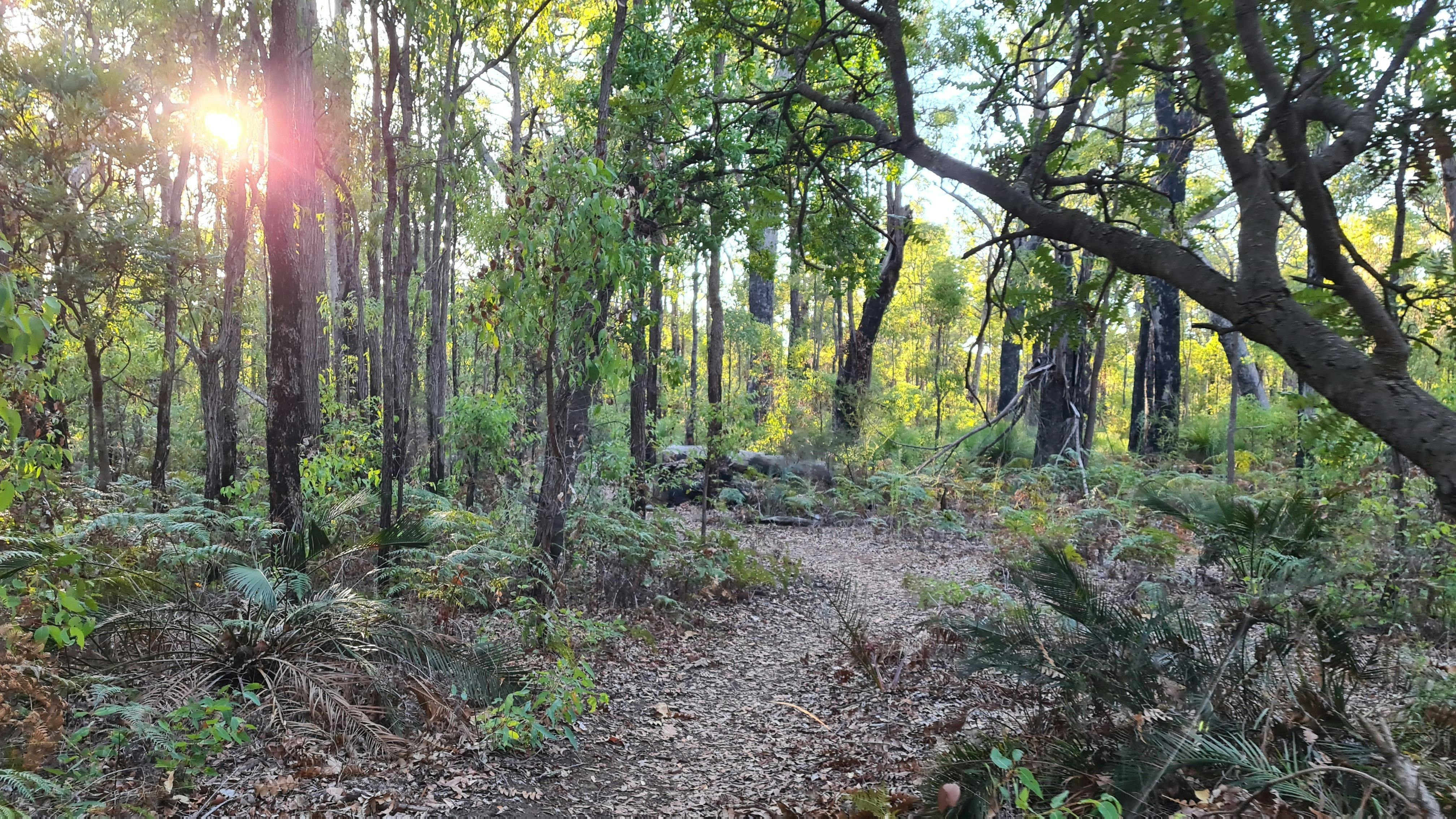 Kitty’s Gorge Twilight Hike