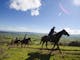 Spectacular scenery on horseback