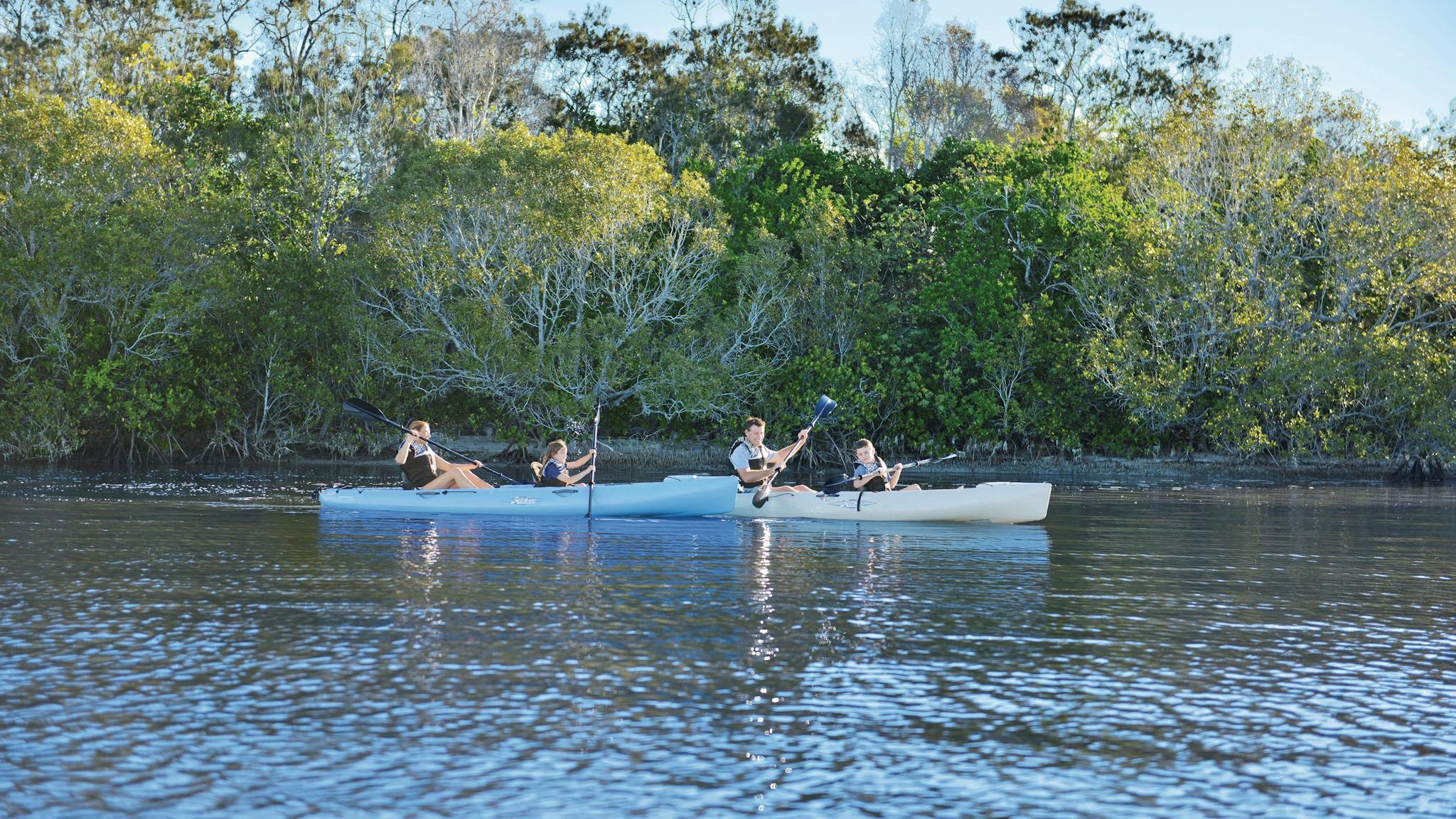 kids and canoes in water with mangroves in background, Bribie Island