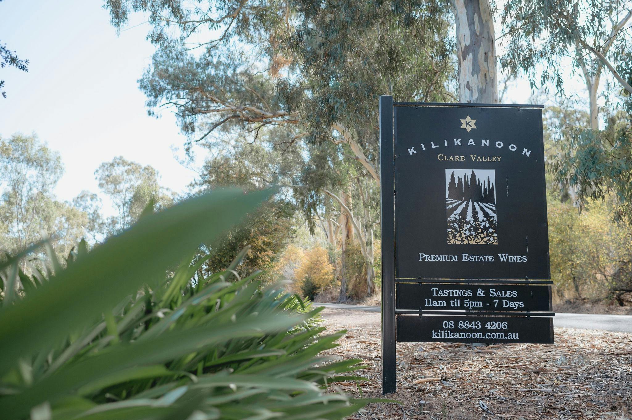 Kilikanoon Cellar Door