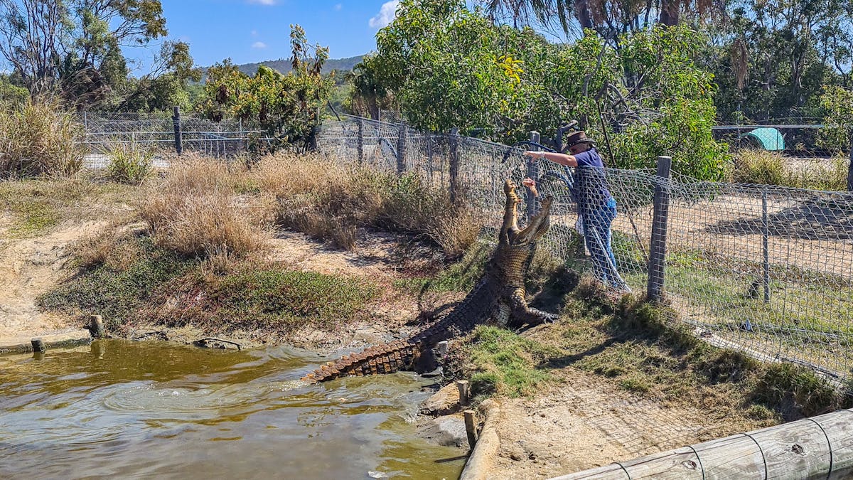 Koorana Crocodile Farm