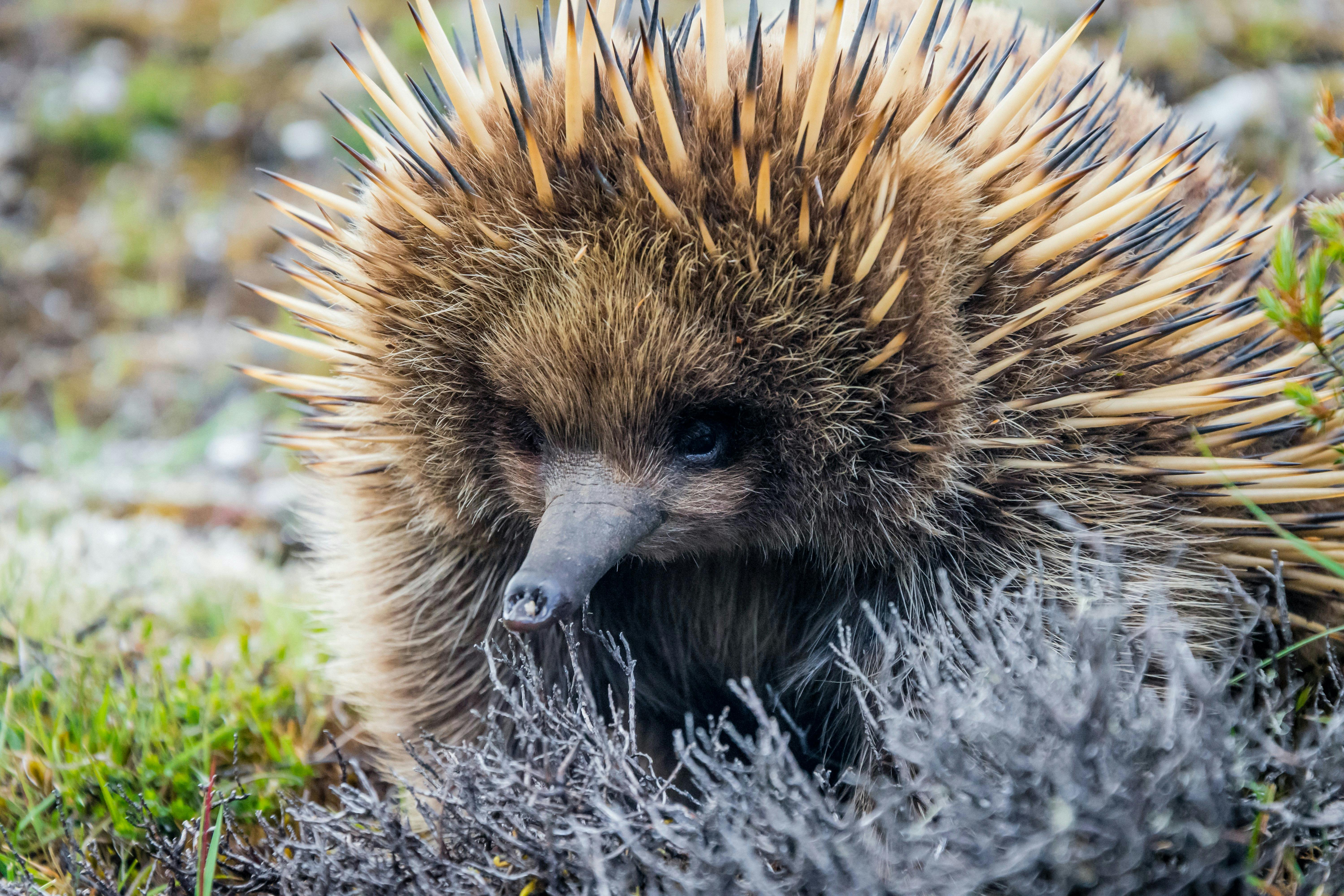 The extra 3rd day allows some extra time for wildlife spotting