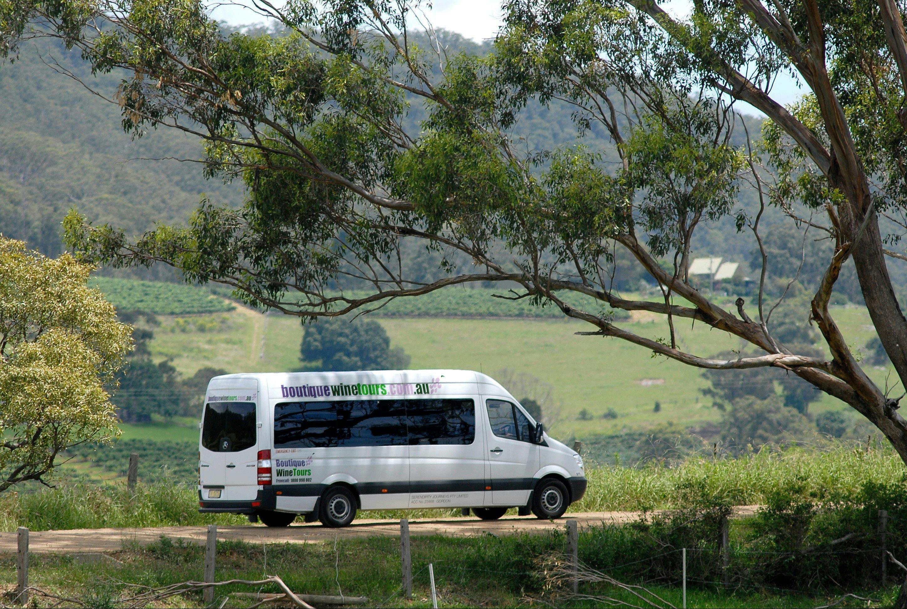 Luxury vehicle for wine tasting