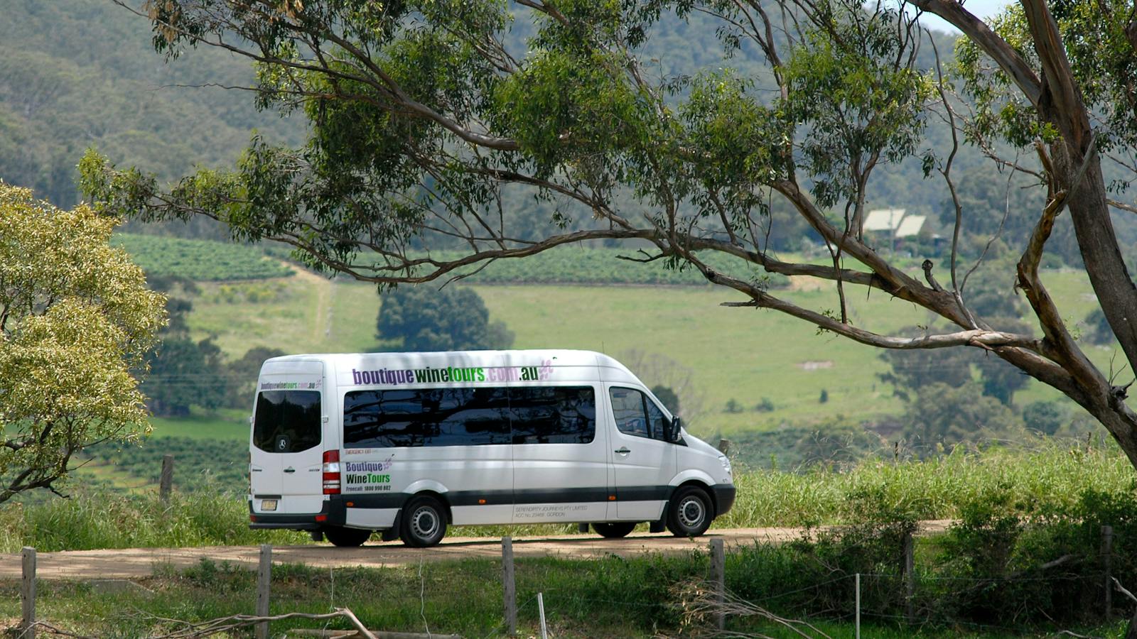 Luxury vehicle for wine tasting