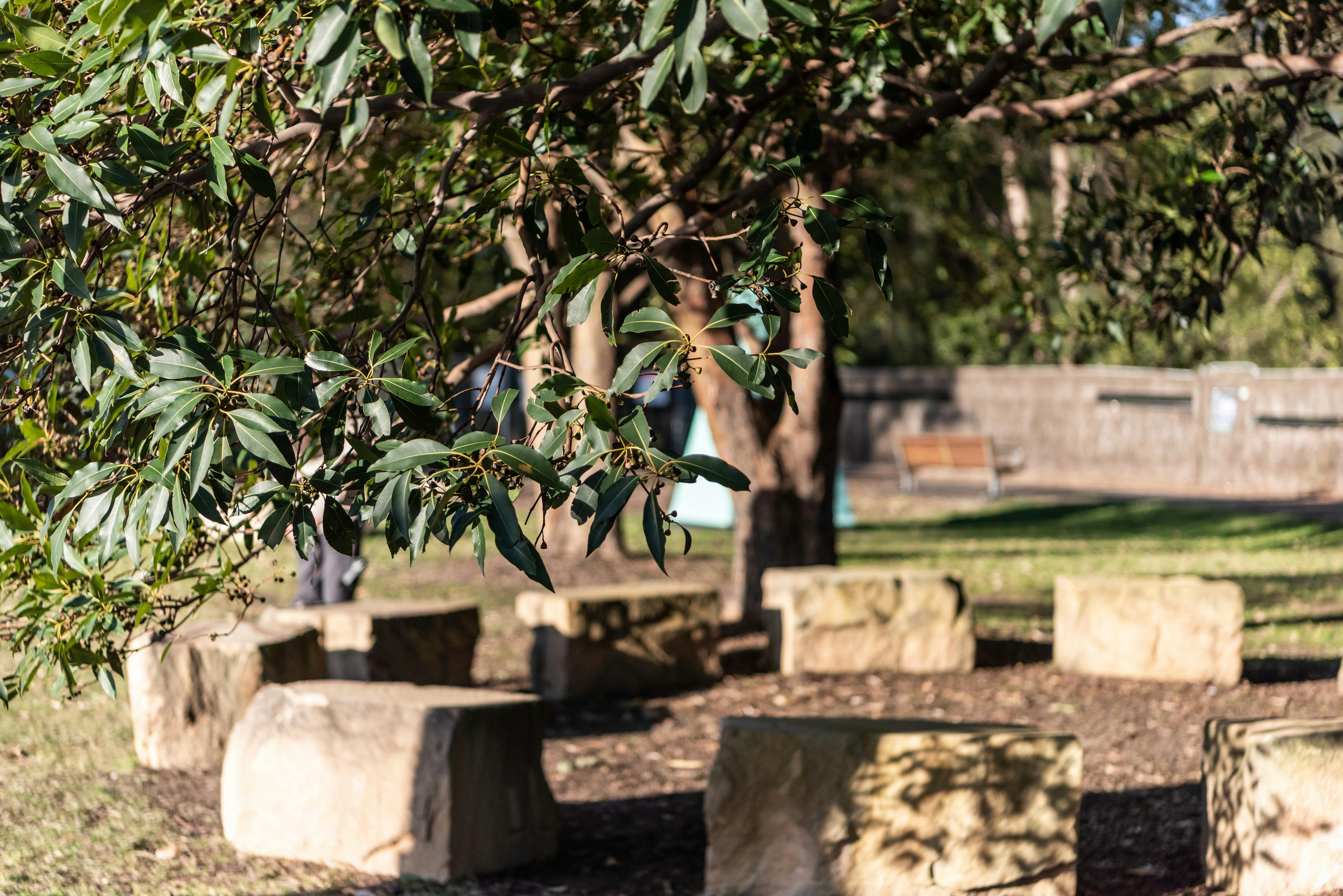 Murama 療癒空間和 Wangal Walk