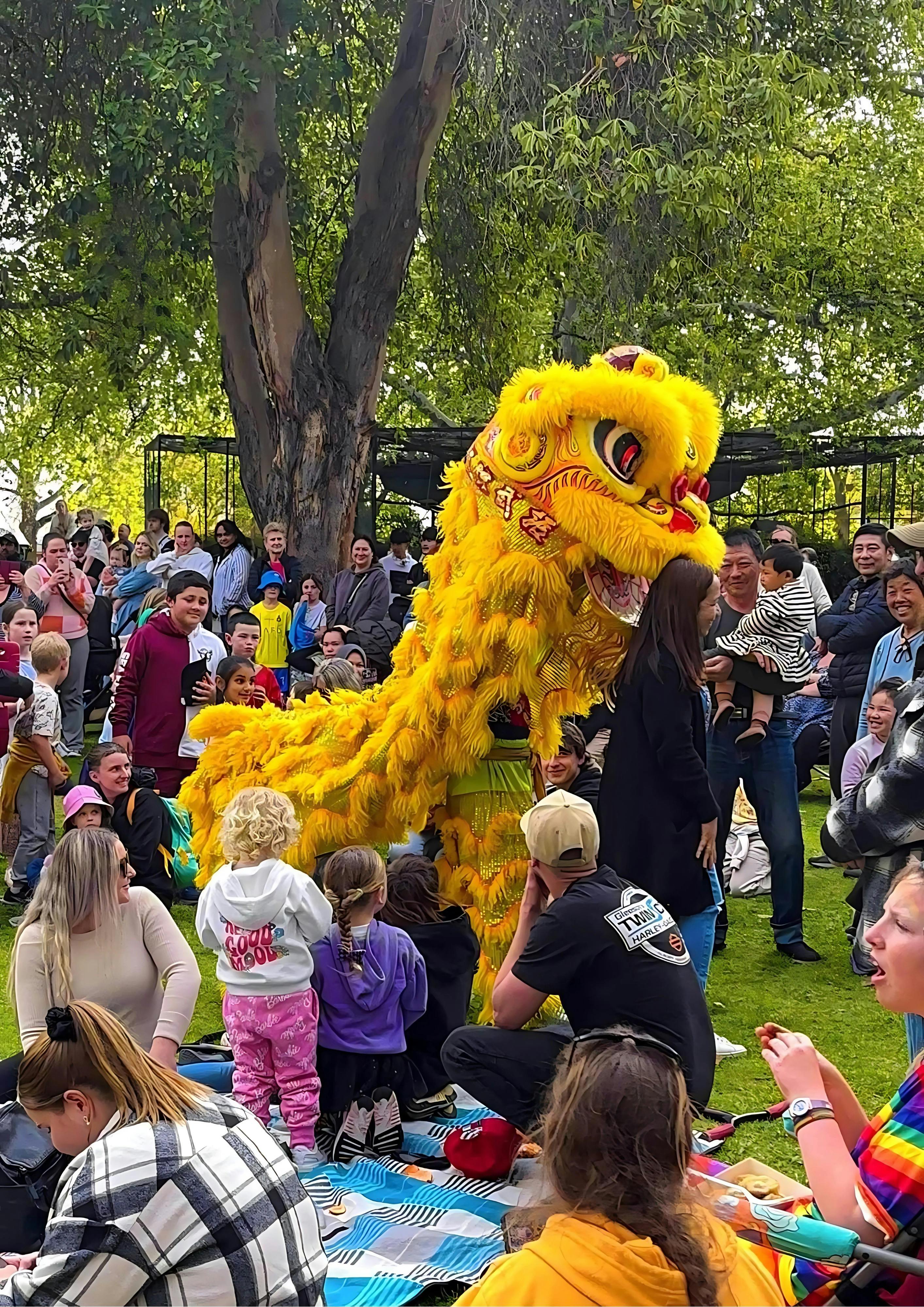 Lion Dancers performing at Leeton Moon Fest 2024