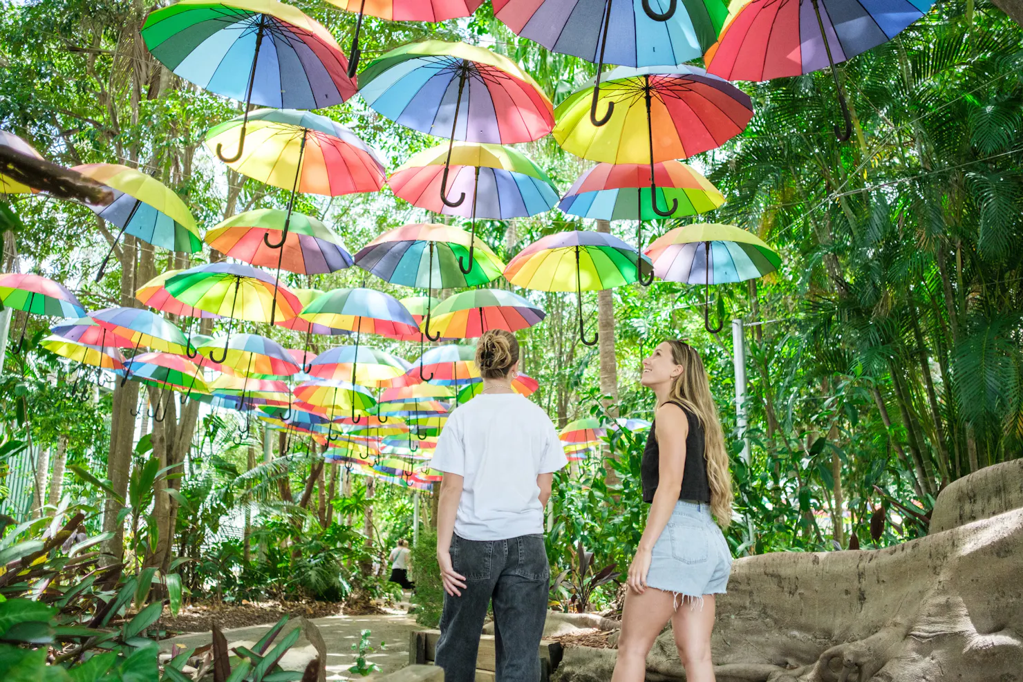 Hundreds of rainbow umbrellas suspended above the gardens