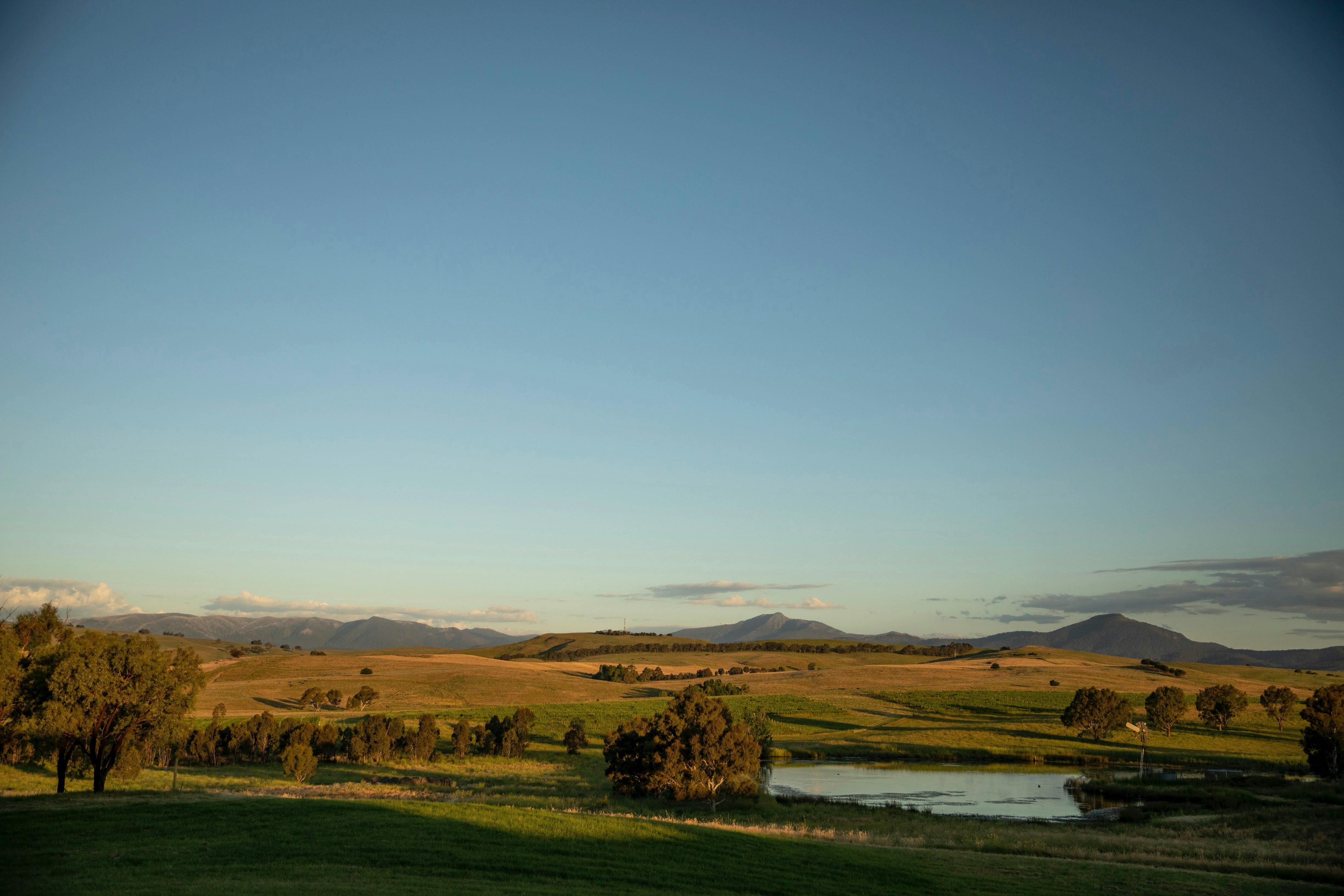 the view from delatite in the evening