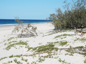 Bribie Island 4x4 tours
