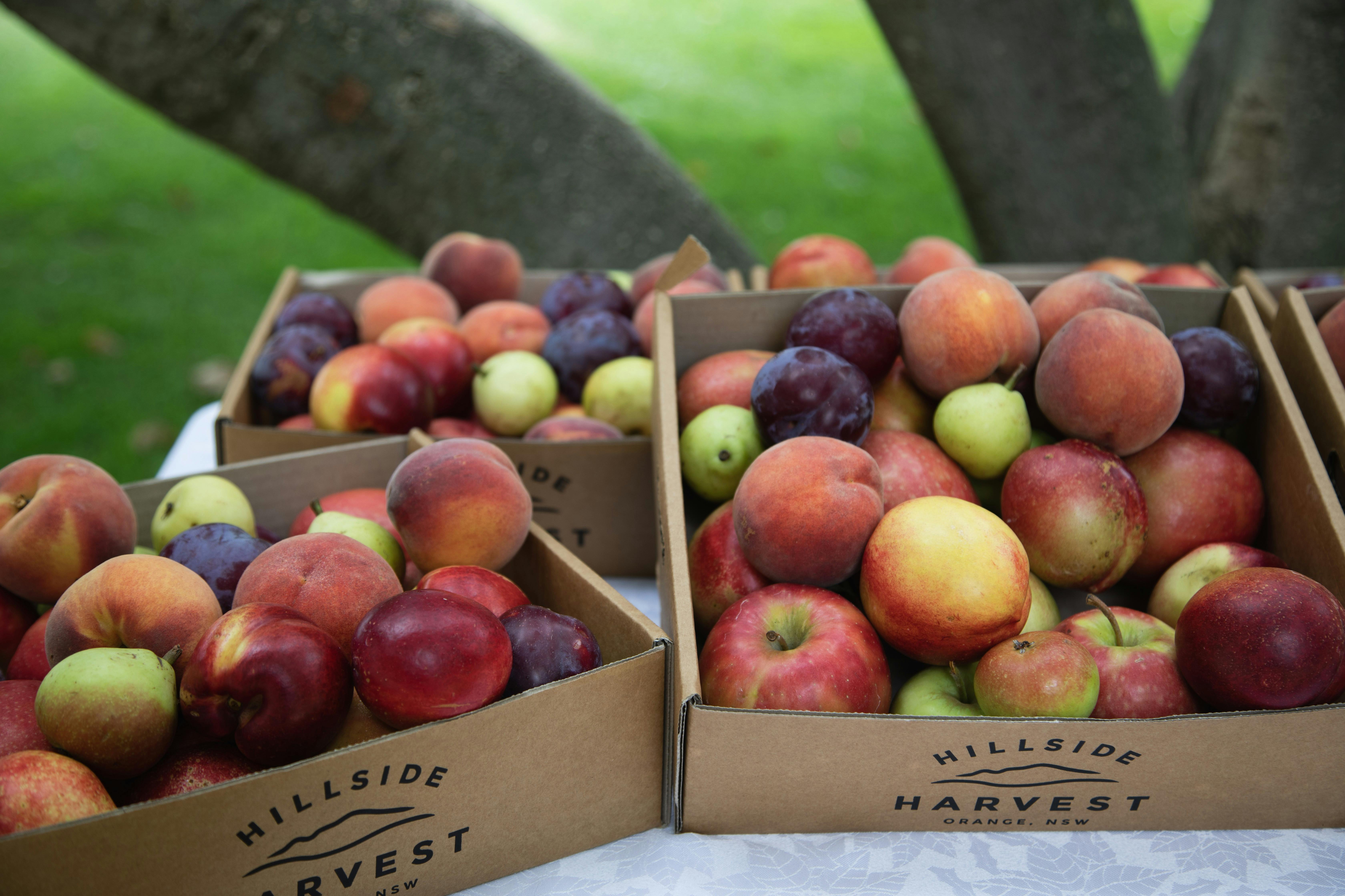 Sunday Producers Market and Brunch - Orange FOOD Week
