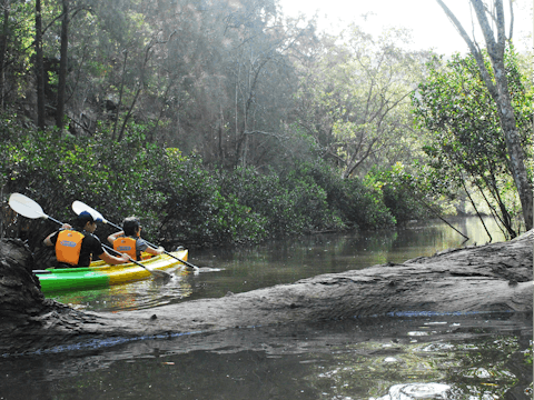 Ku-ring-gai National Park Guided Kayak Tours NSW