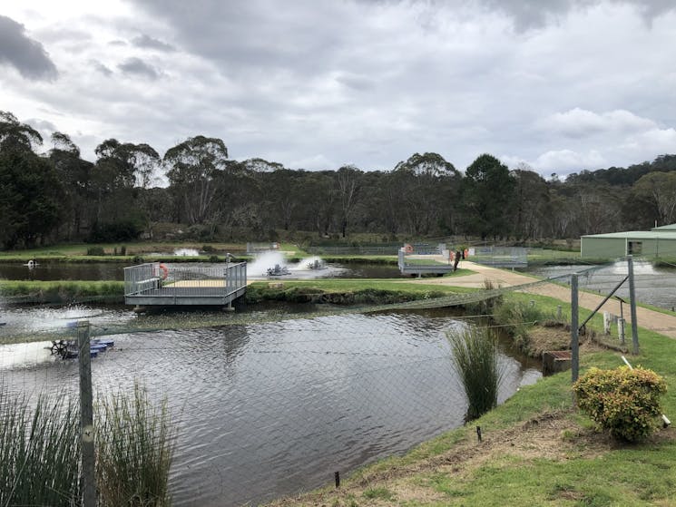 Dutton Trout Hatchery's Brood Ponds with Feeding Platforms. 5 in total