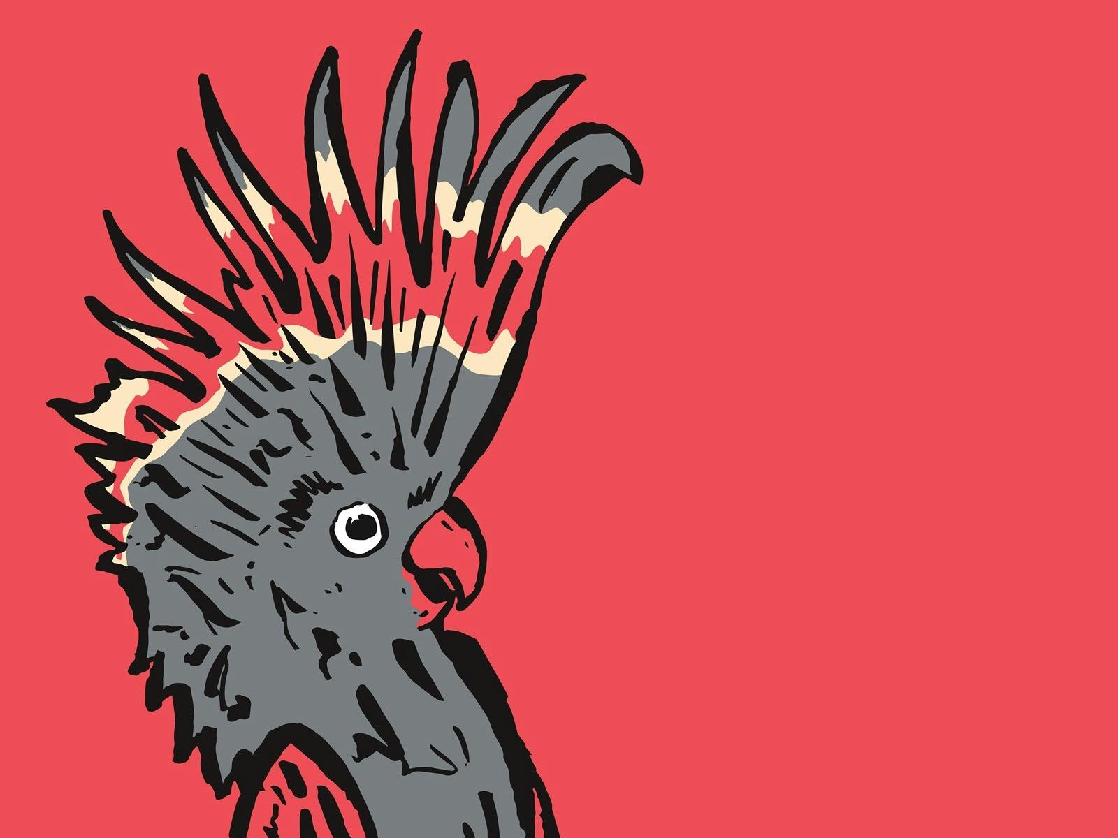 The fesitval's signature cockatoo artwork