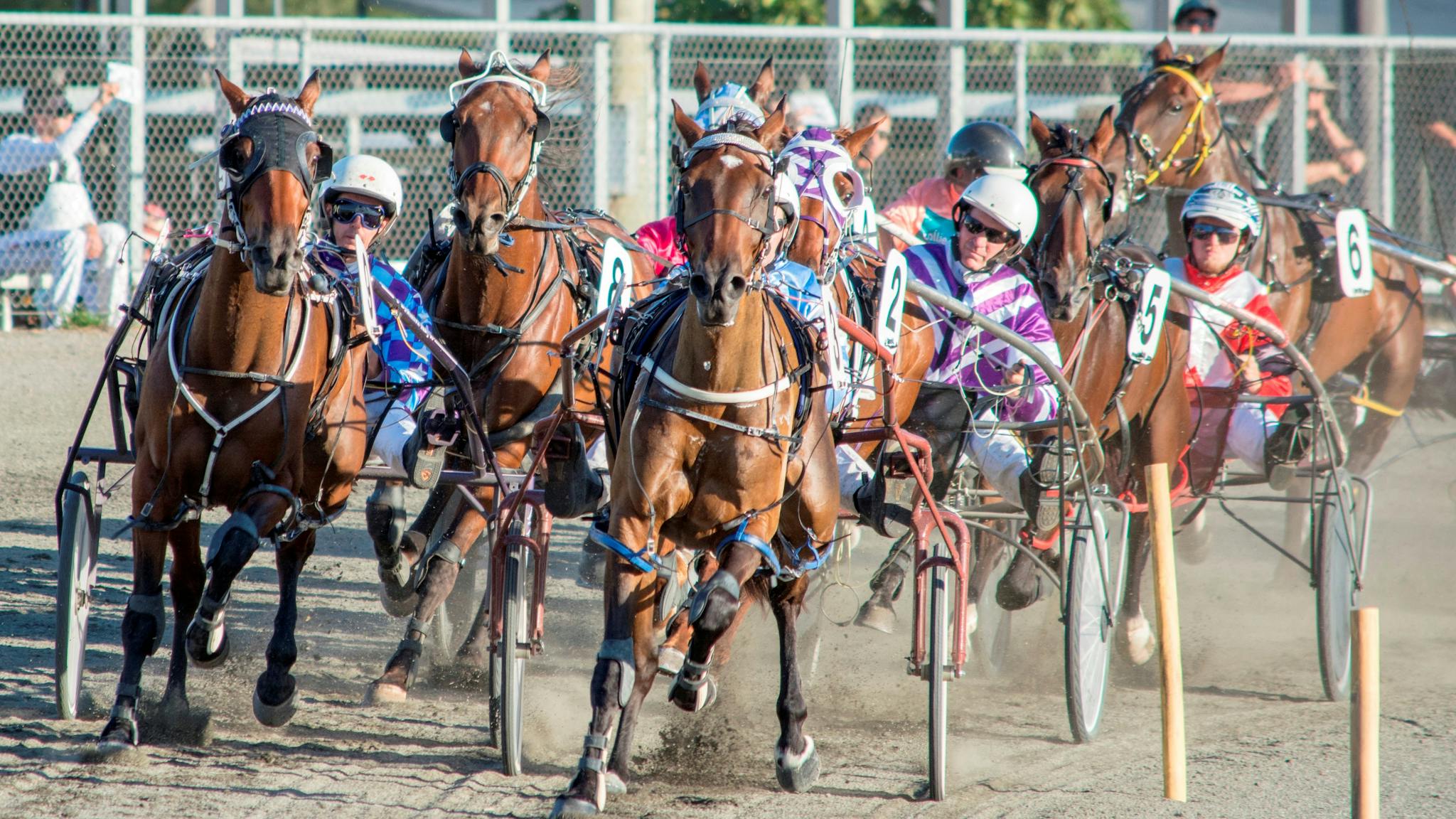 Collie Harness Racing, Collie, Western Australia