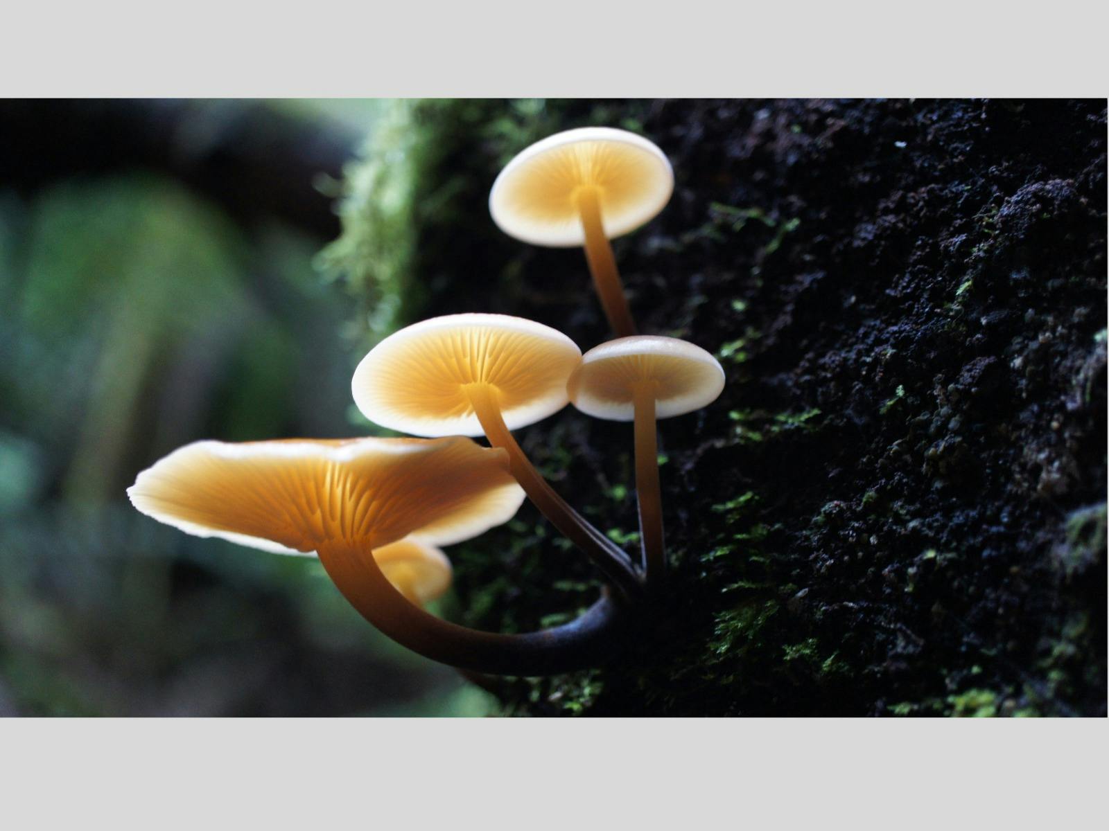 Photo by John Geasley