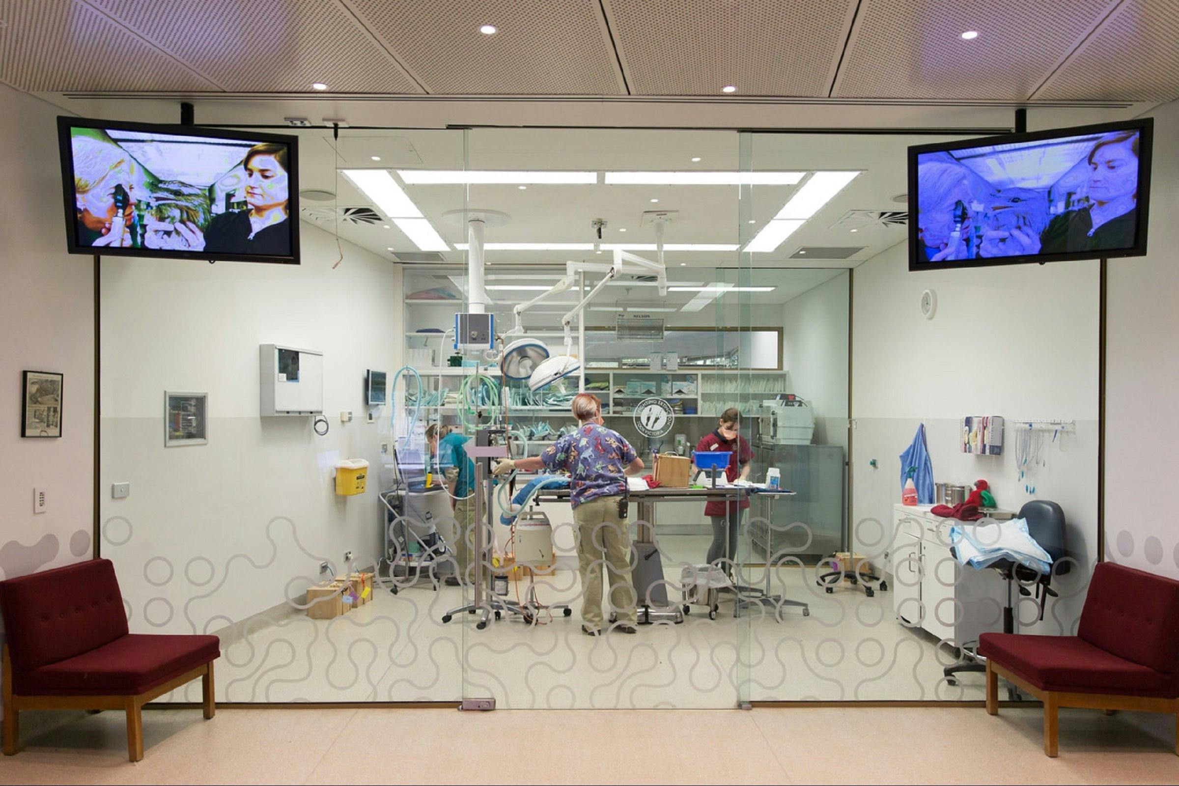 Australian Wildlife Health Centre