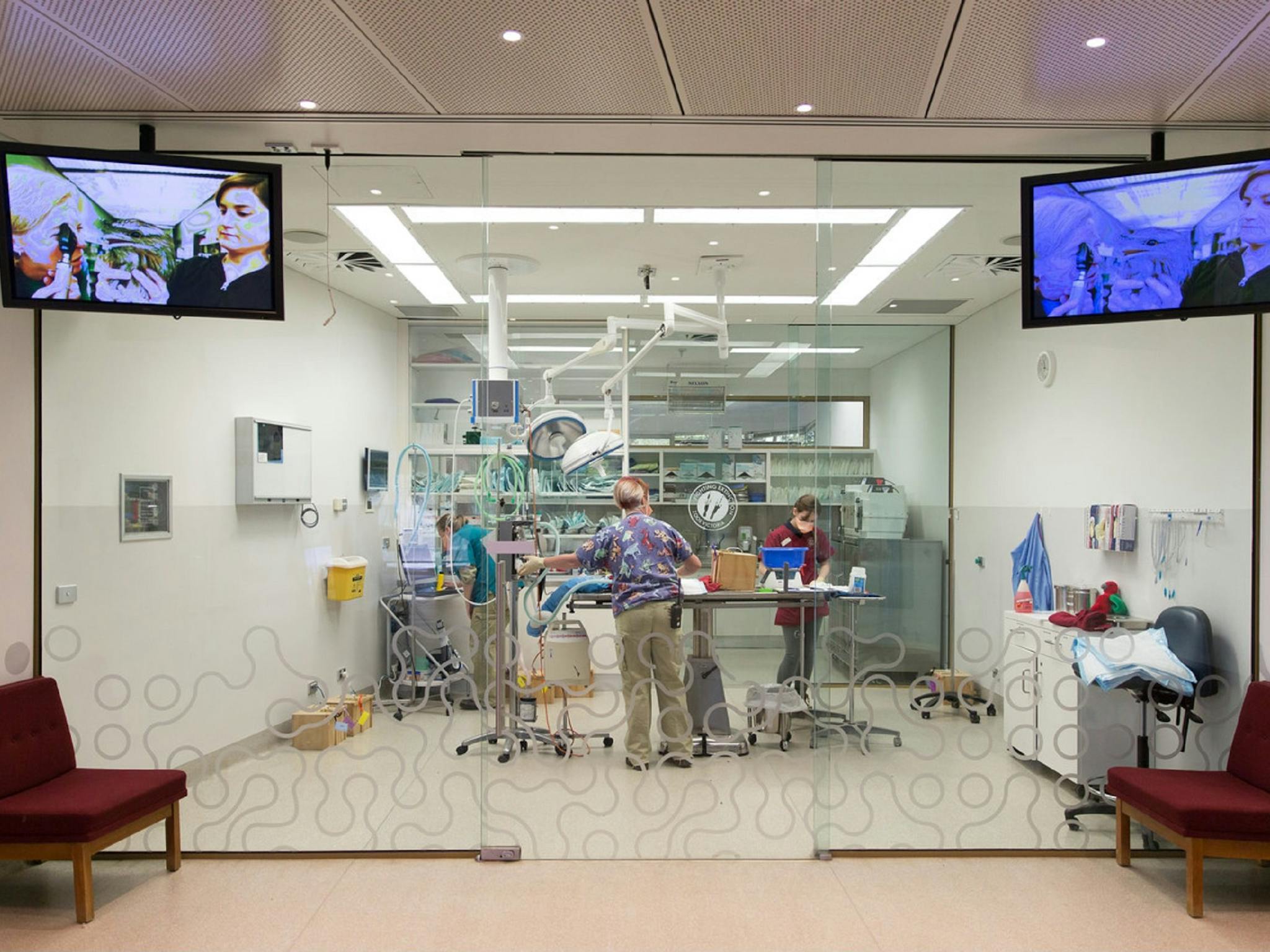 Australian Wildlife Health Centre