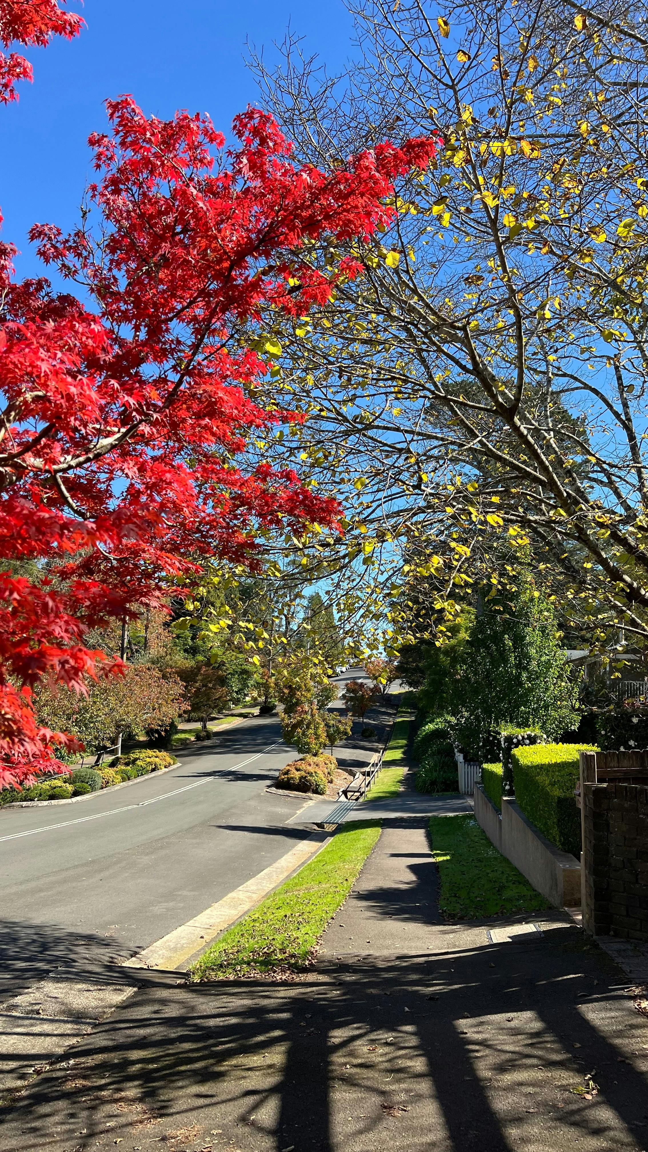 Leura Garden Village in the Blue Mountains