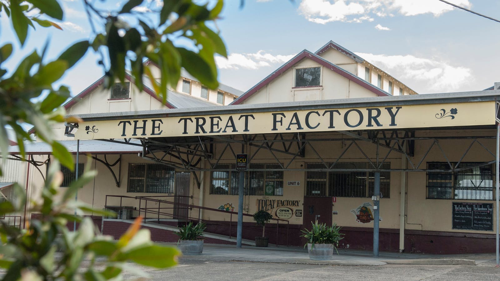 The Treat Factory - Berry