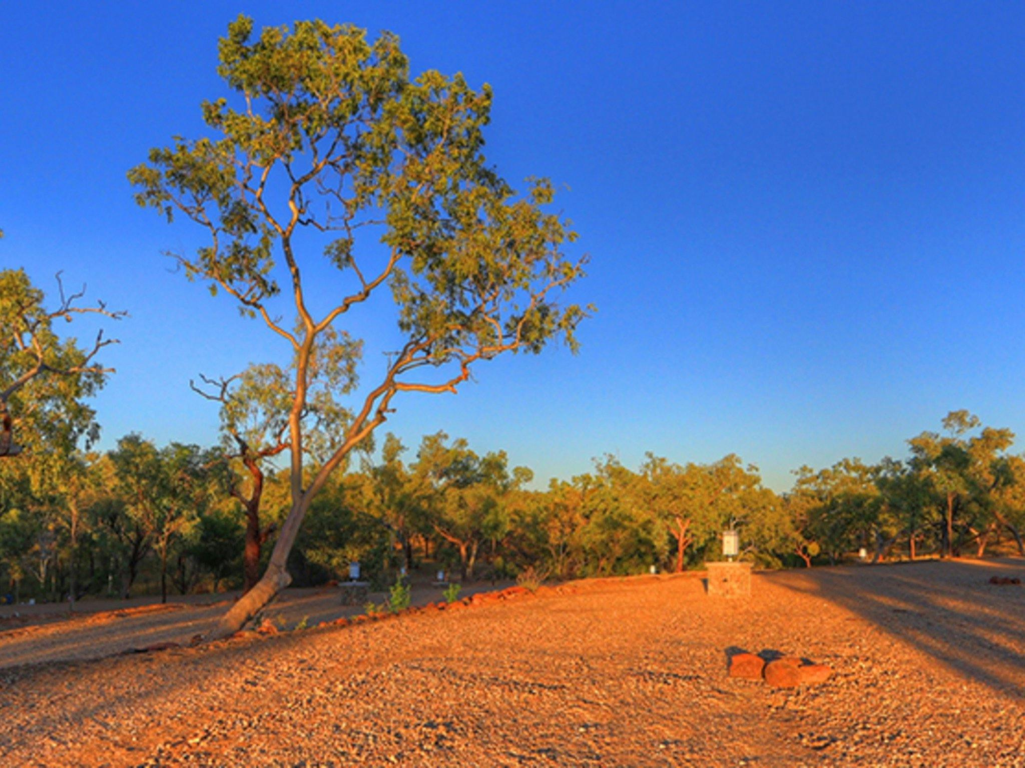 Drive through powered site