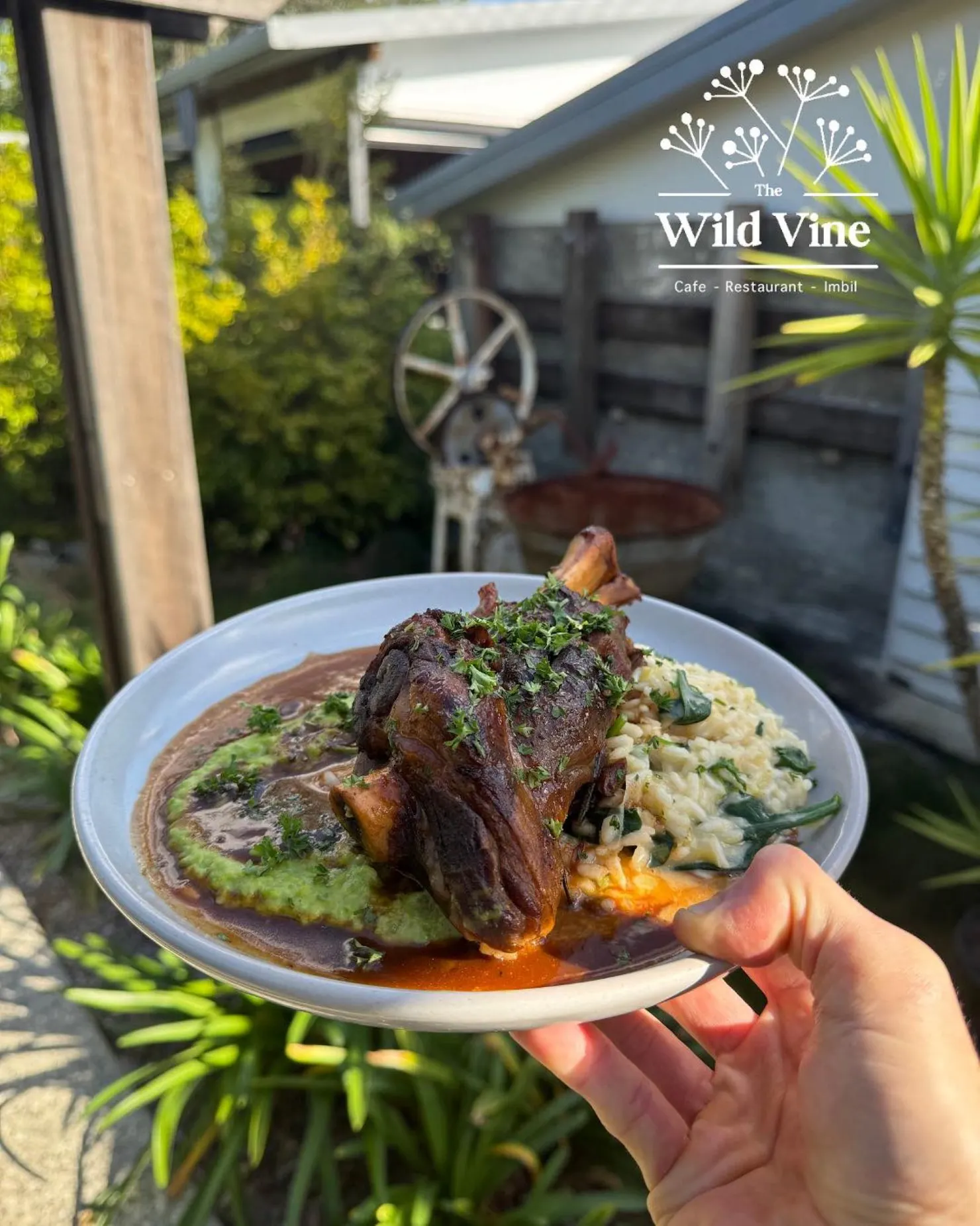 Slow cooked lamb shank