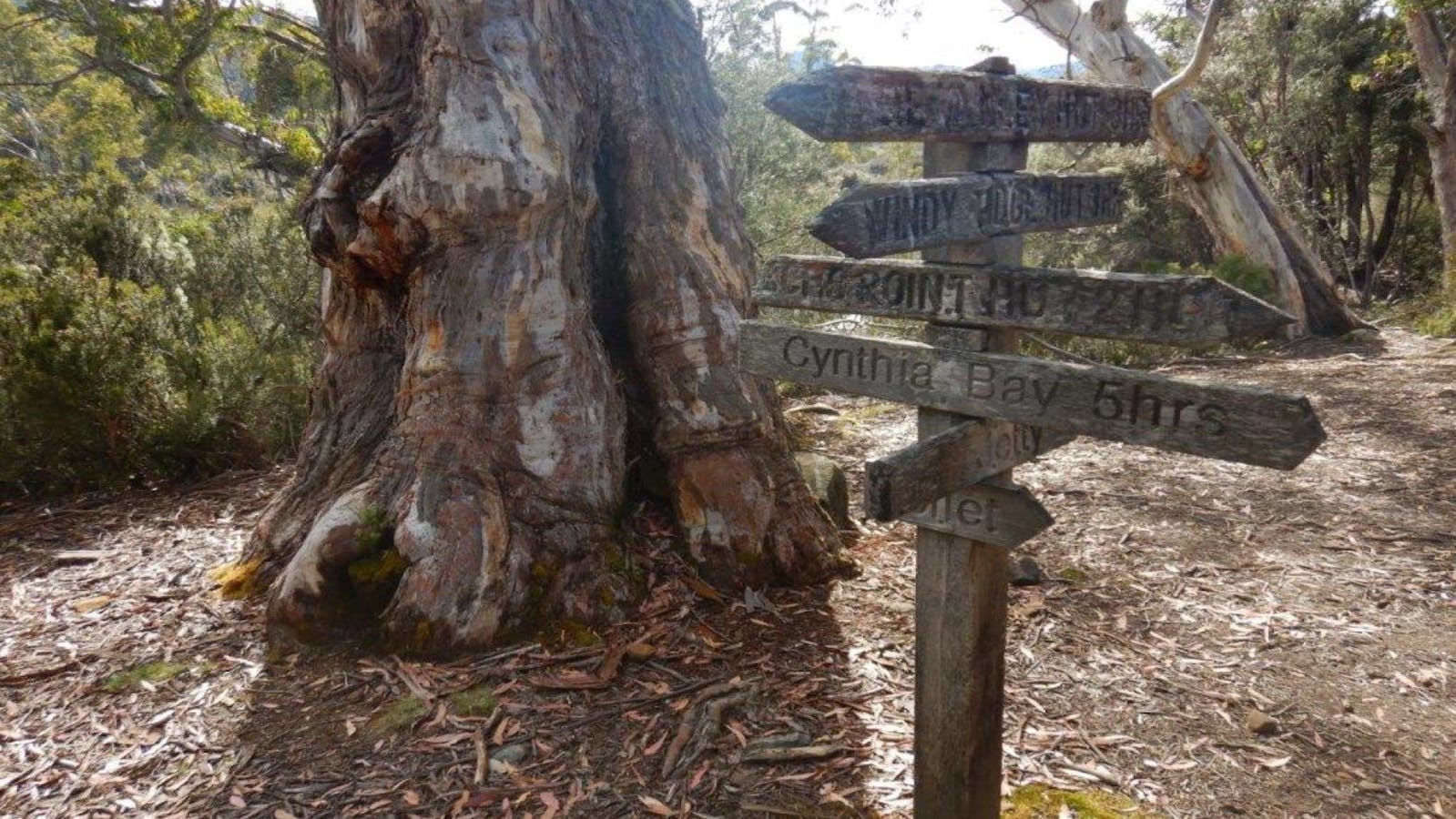 Signpost near Narcissus Hut