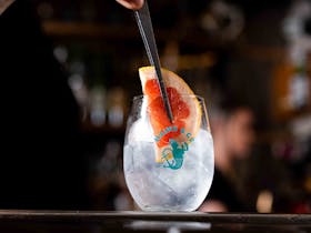 The Gin 101 Masterclass at Hains and Co Cover Image