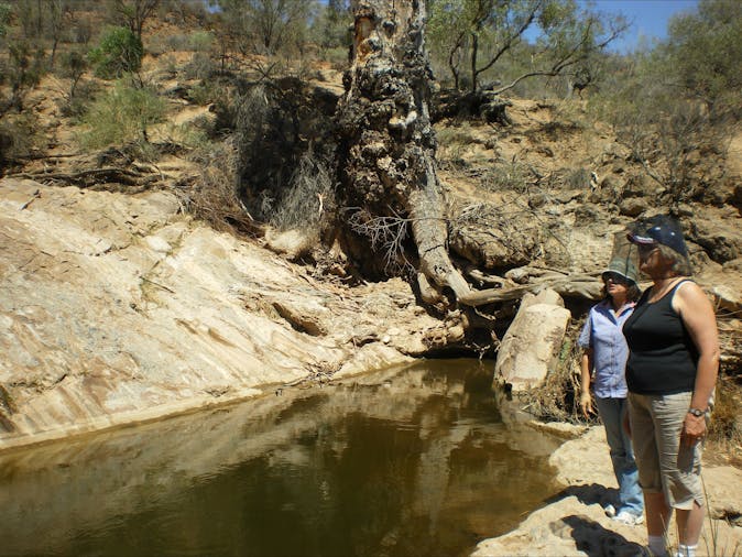 Alpana Station Full Day Eco Tour