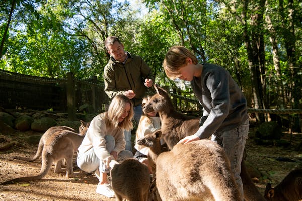Byron Bay Wildlife Sanctuary