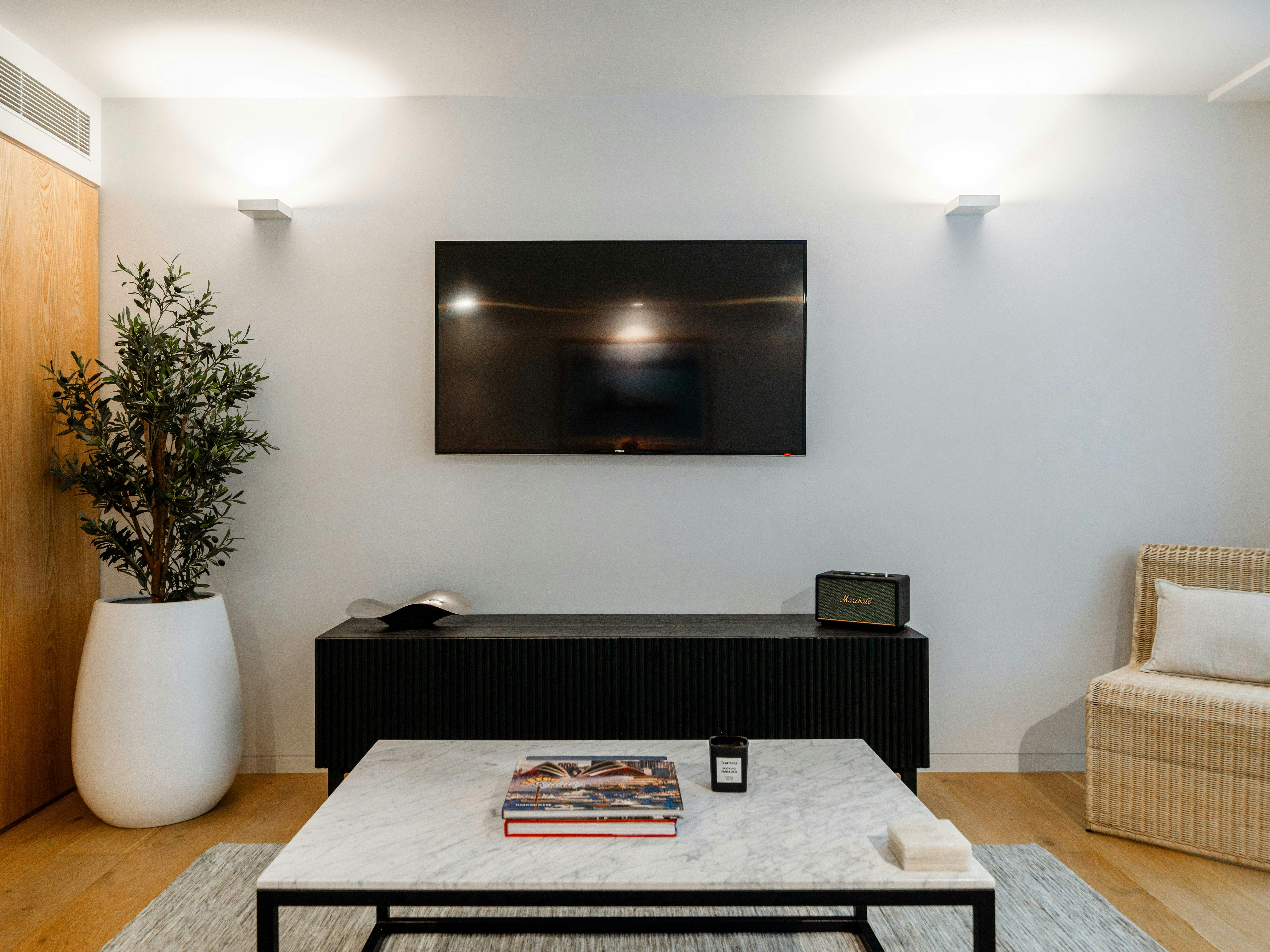 living area, television