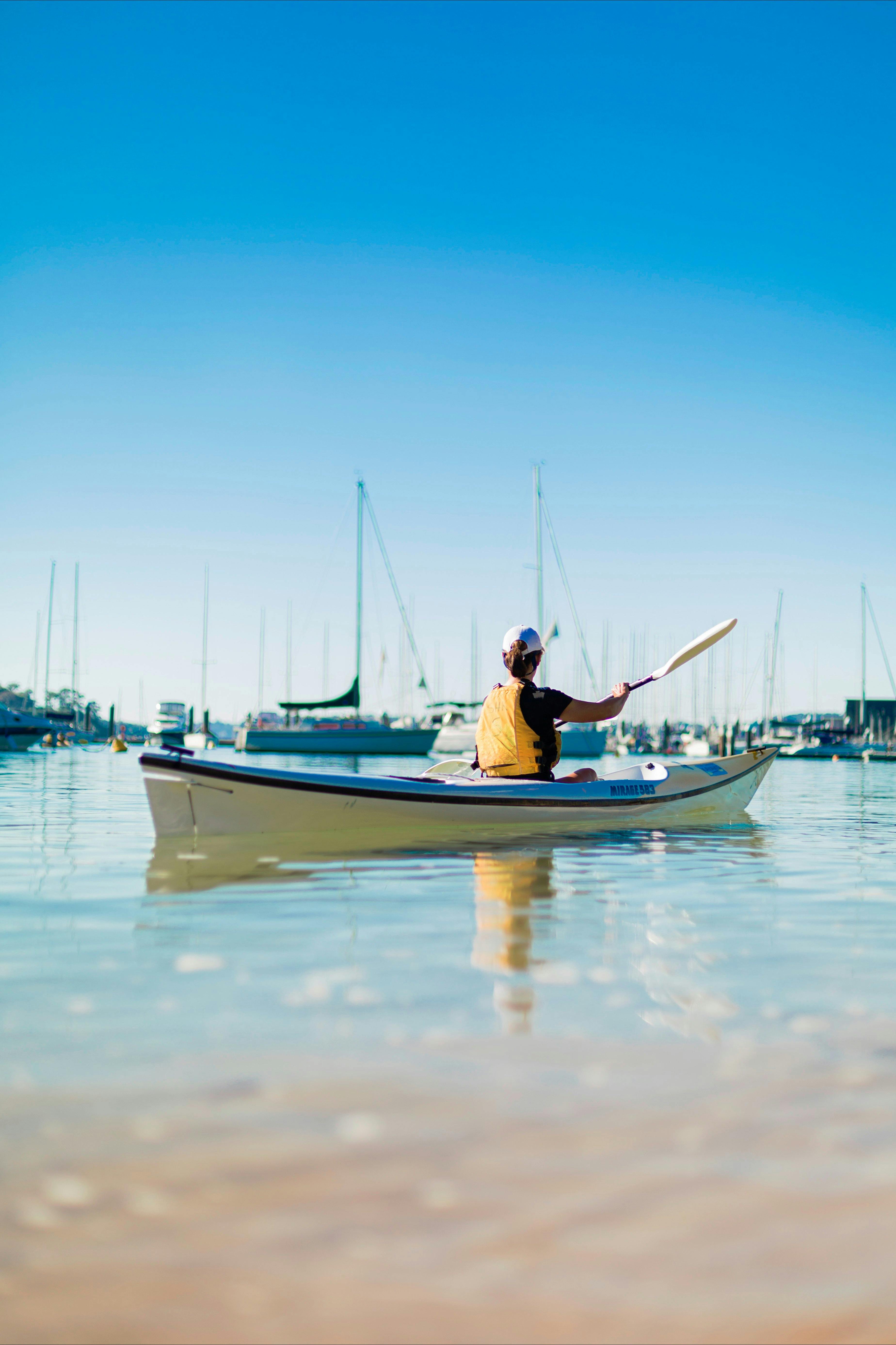 시드니 하버 카약
