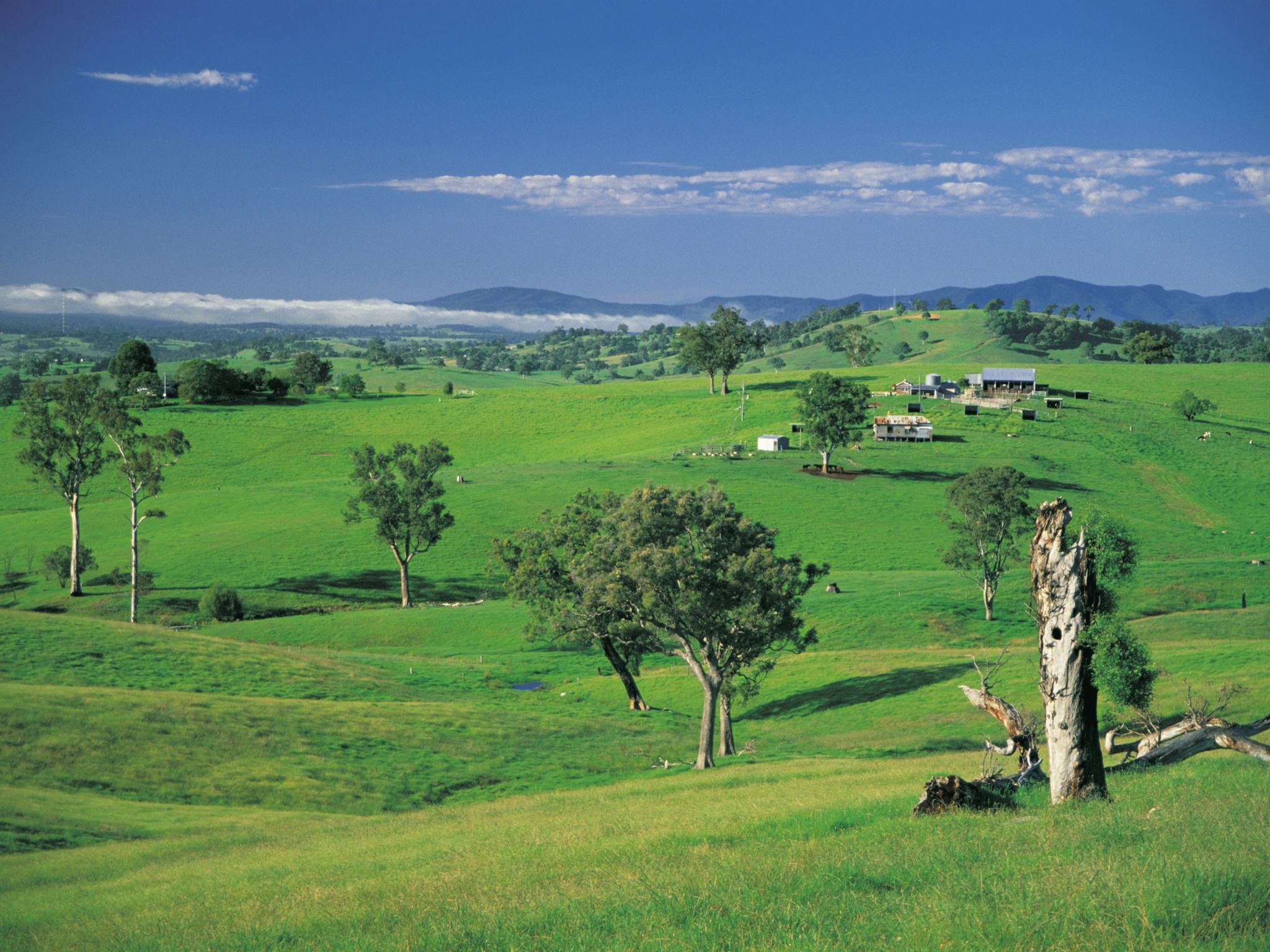 Bega Valley, Bega, Sapphire Coast, South Coast