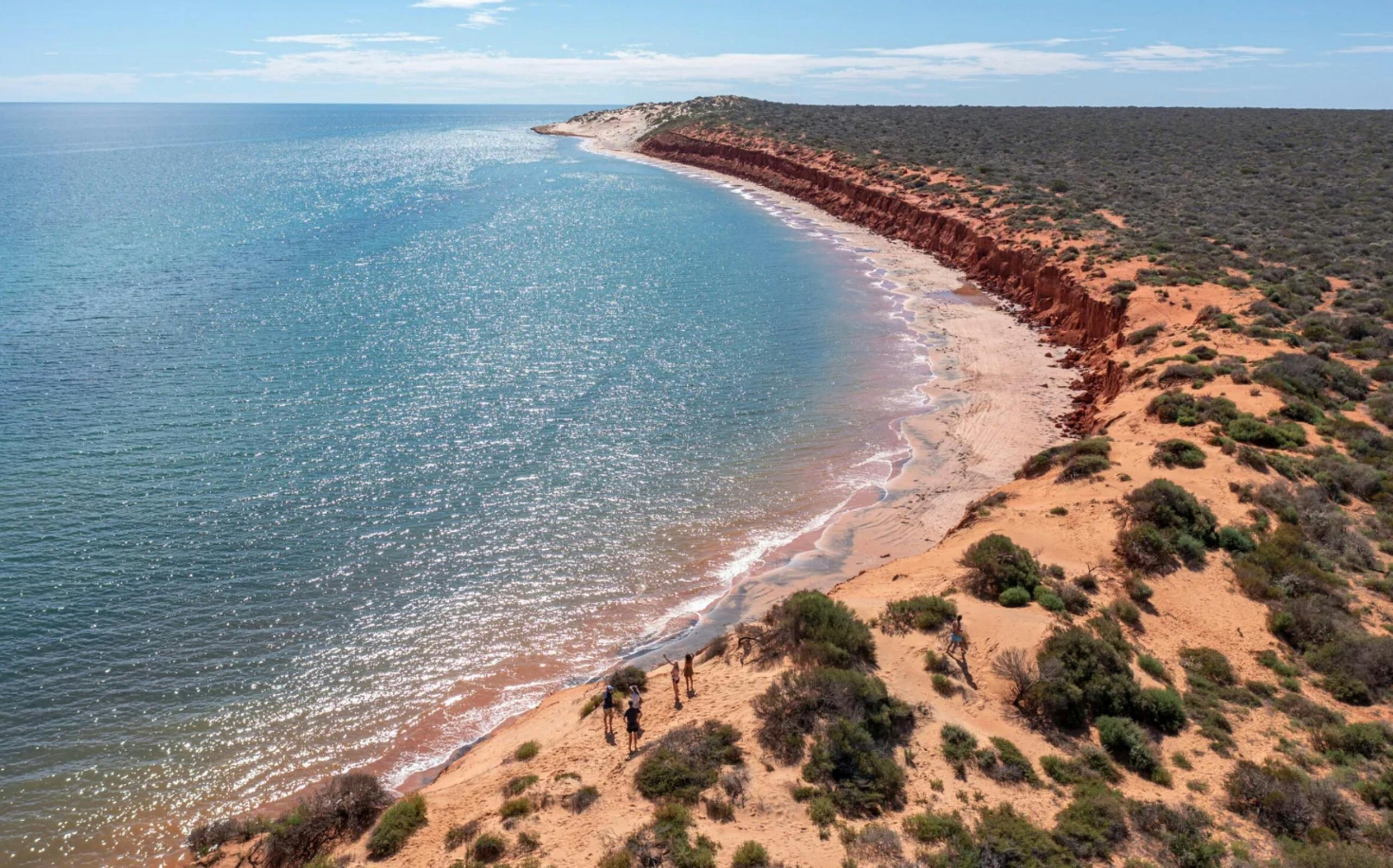 Bottle bay