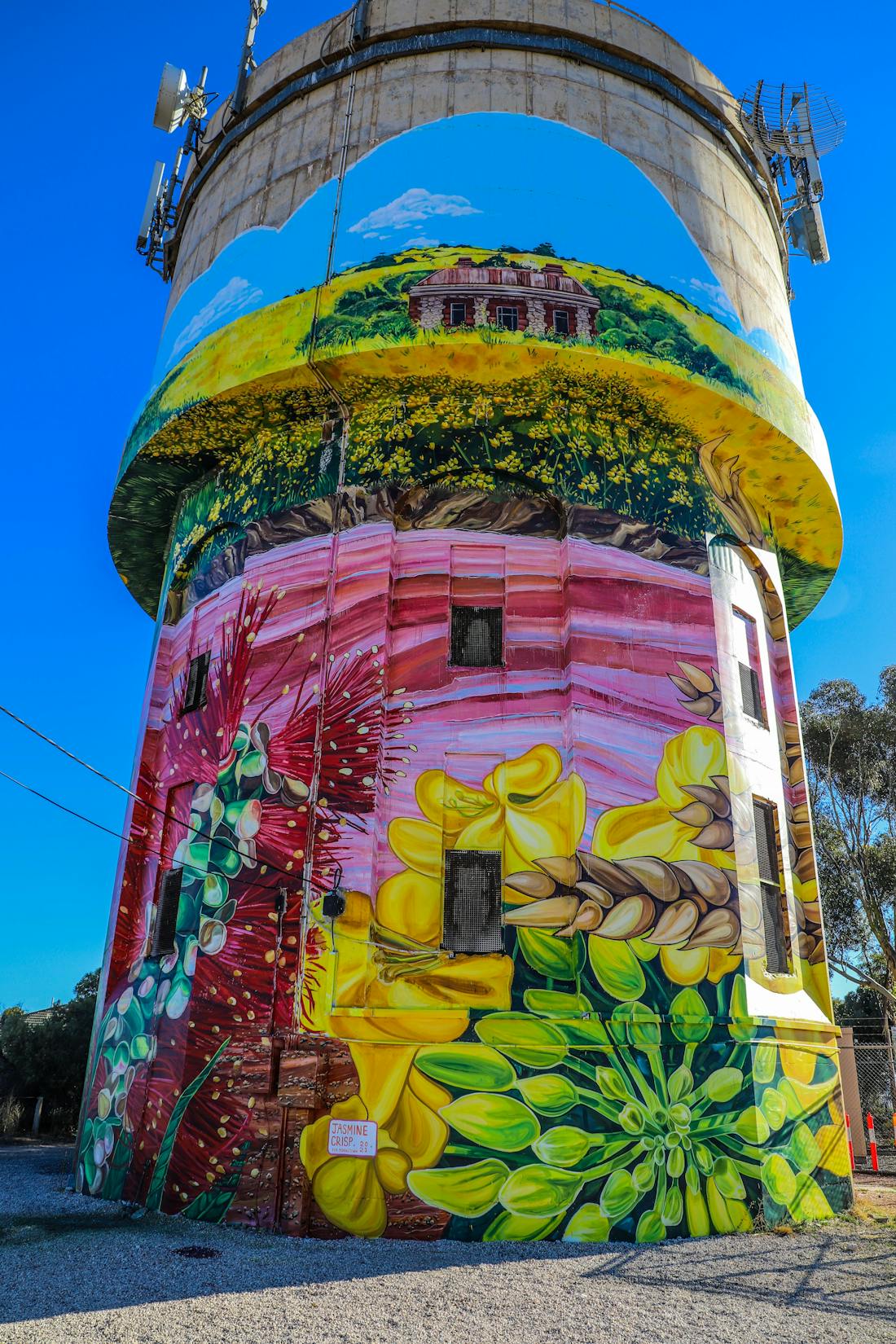 Southern Yorke Peninsula (SYP) Water Tower Mural Trail - Port Vin...