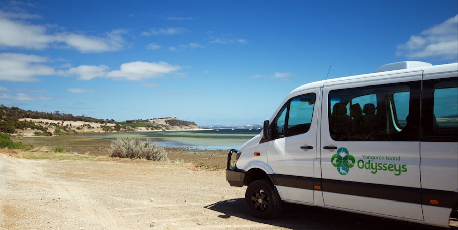 1 Day Kangaroo Island Wildlife Discovery Tour