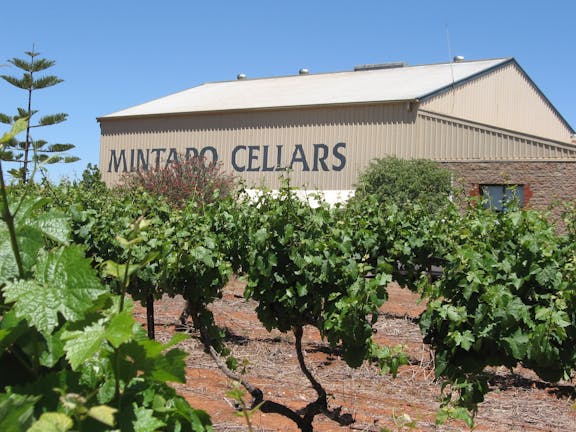 Mintaro Wines