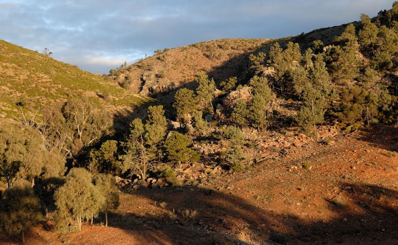 Horseshoe Rim Wilderness Cabin