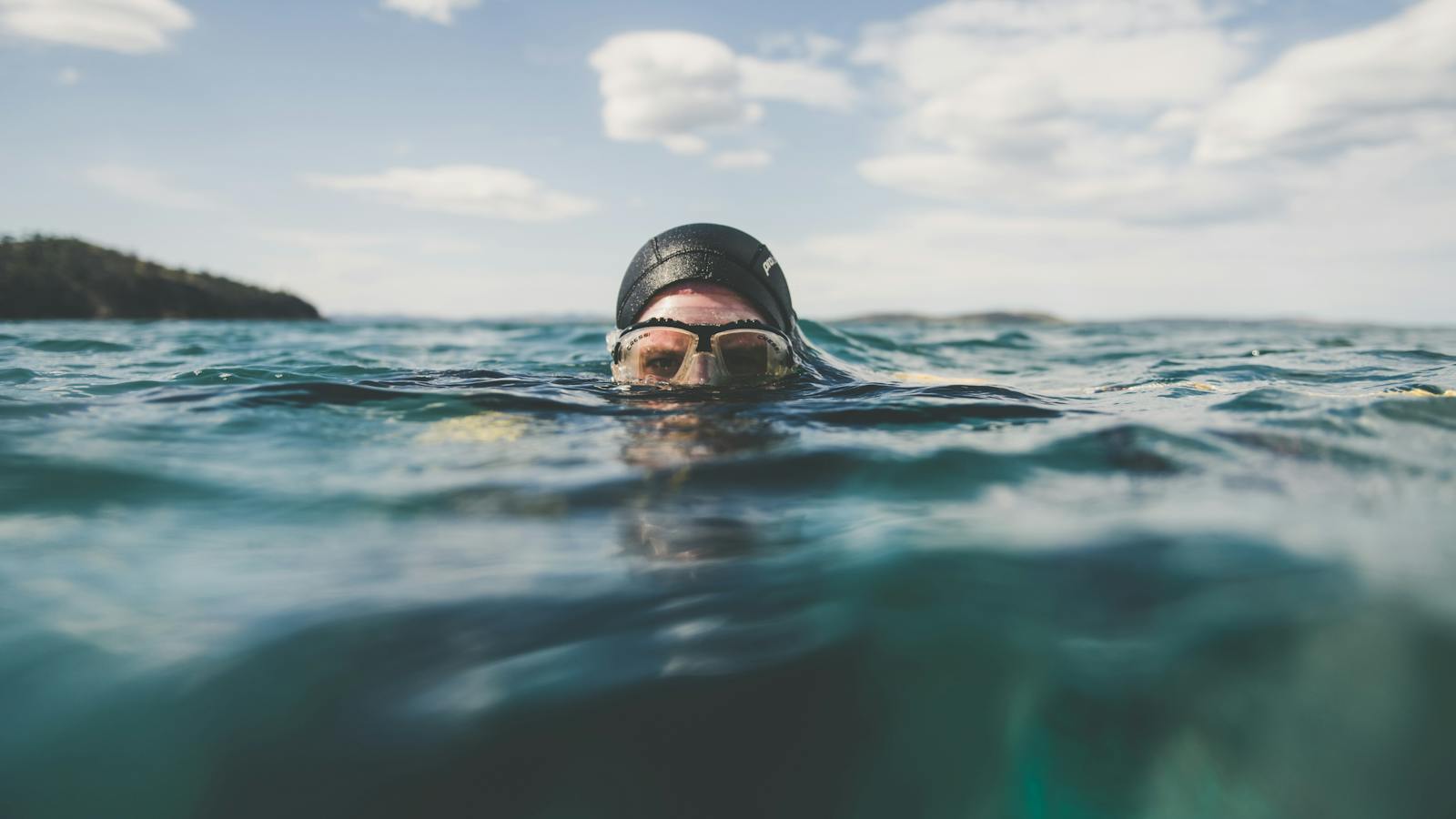 Diver in the water. Deep to Dish and Diver Reality tours
