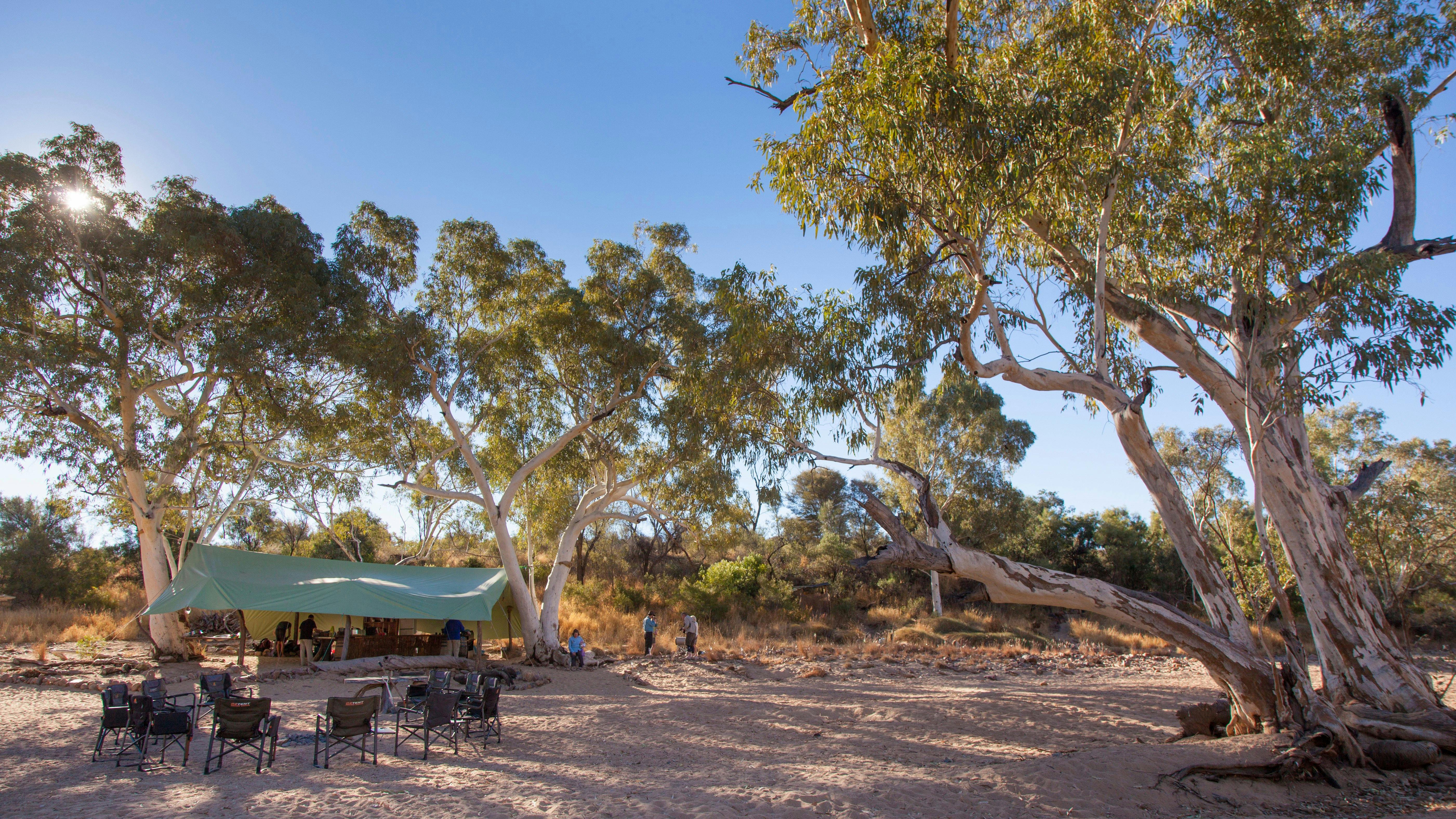 Larapinta Trail Walking Tours