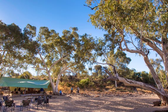 Larapinta Trail Walking Tours