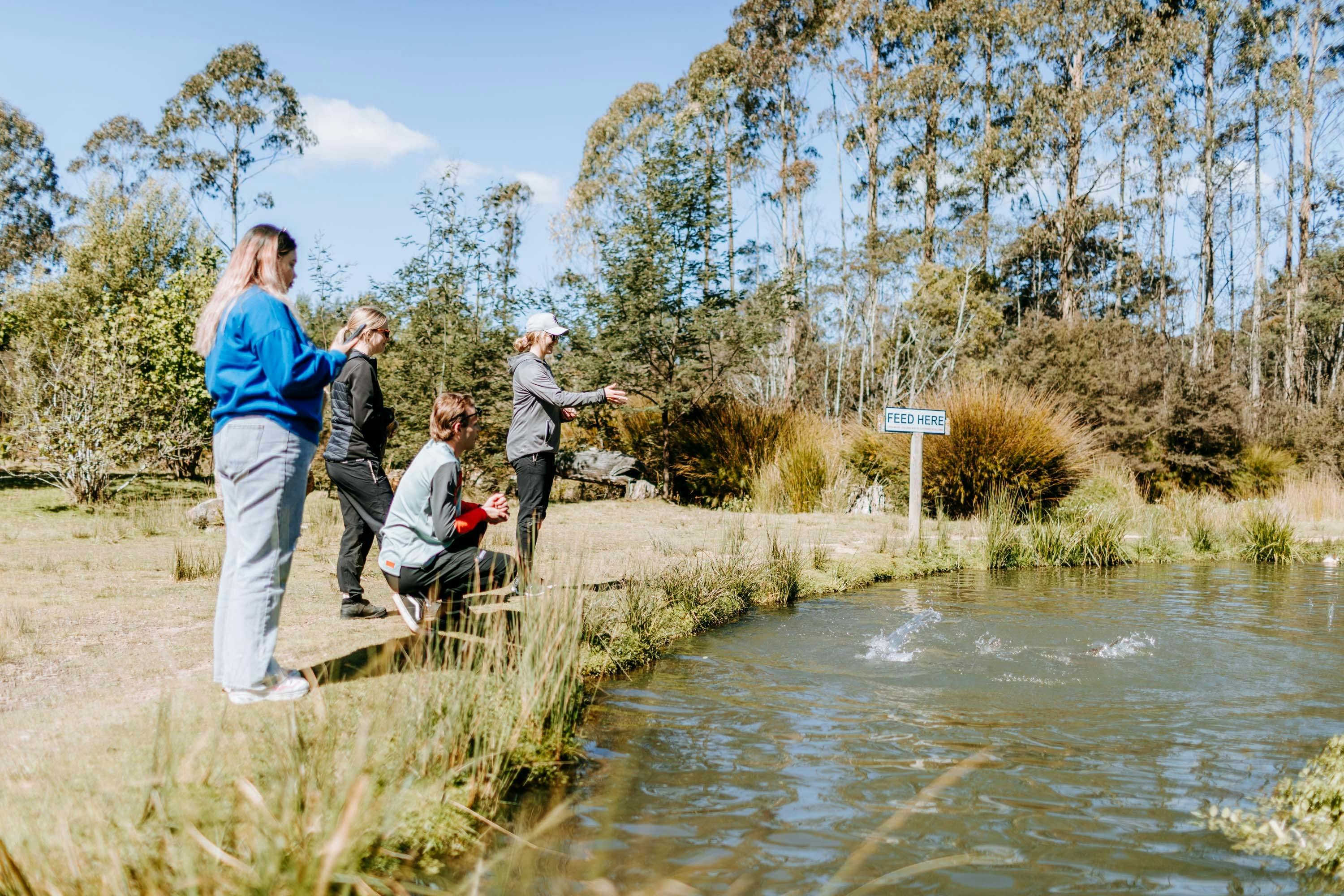Salmon & Ginseng Farm Tasmania