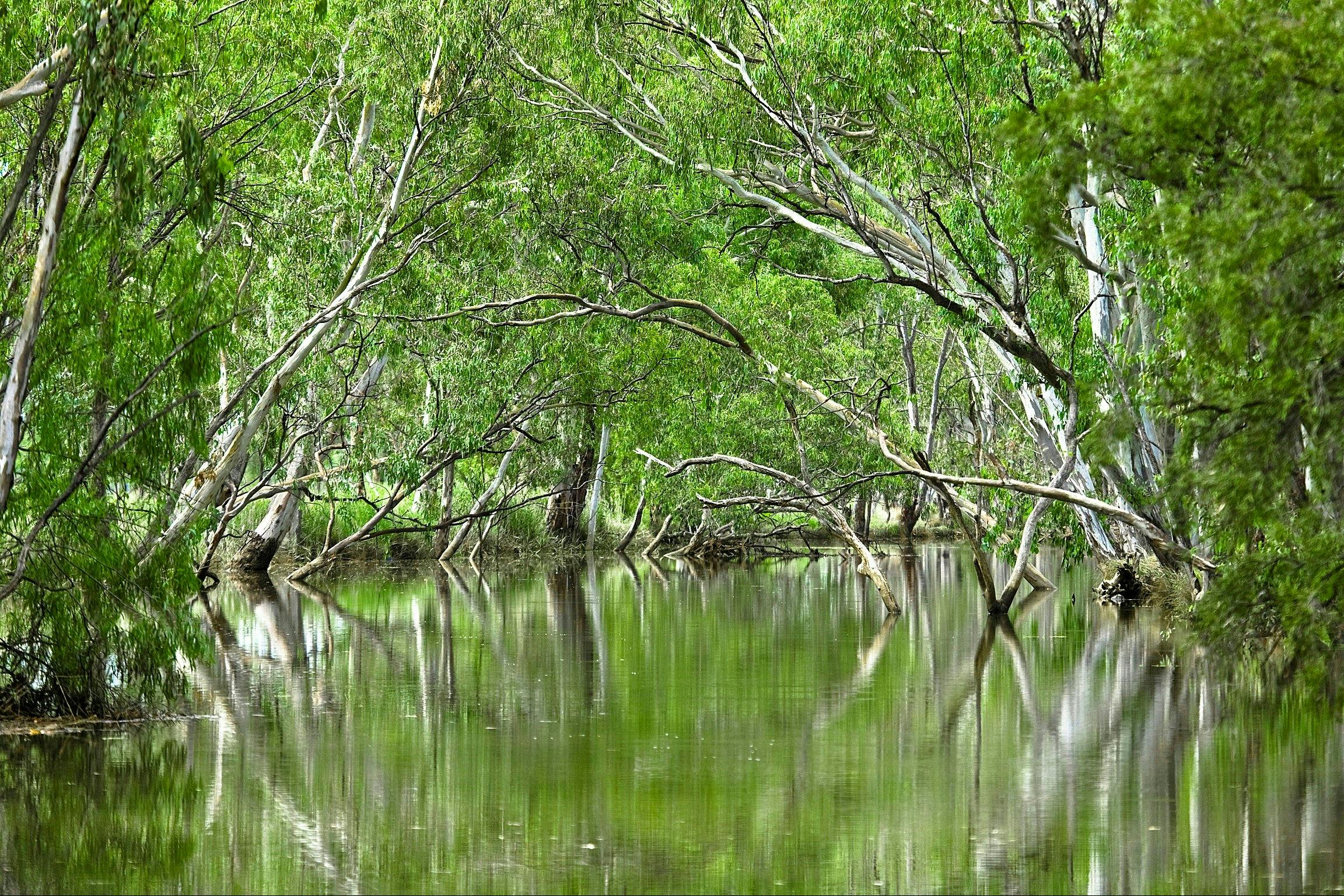 Injune Lagoon, Injune QLD