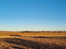 Open farming country with big blue sky and small rolling hills in the distance