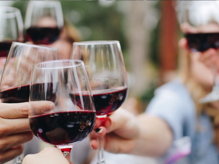 Group of people charge their glasses of Red Wine